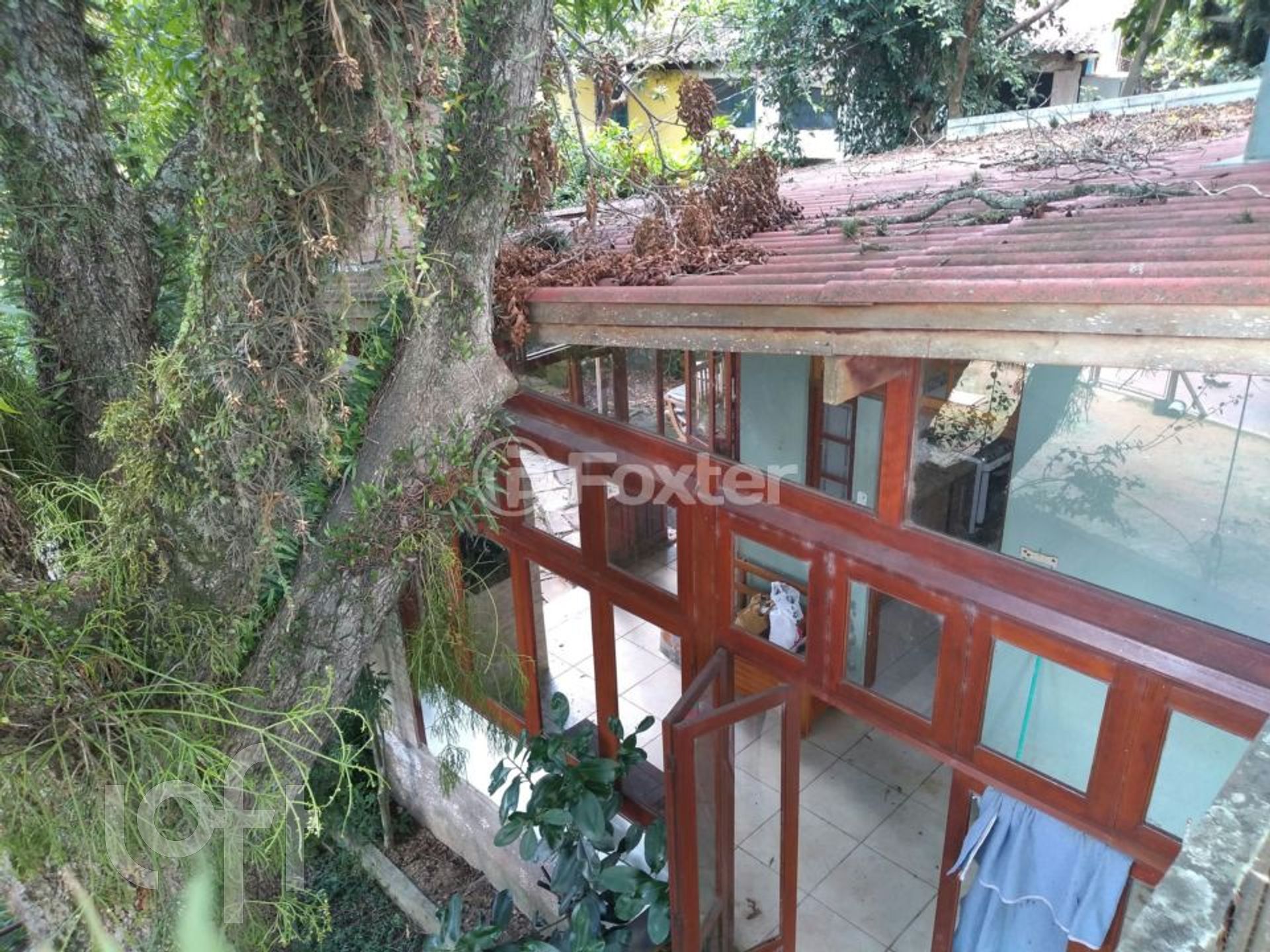 Imagem da propriedade 24