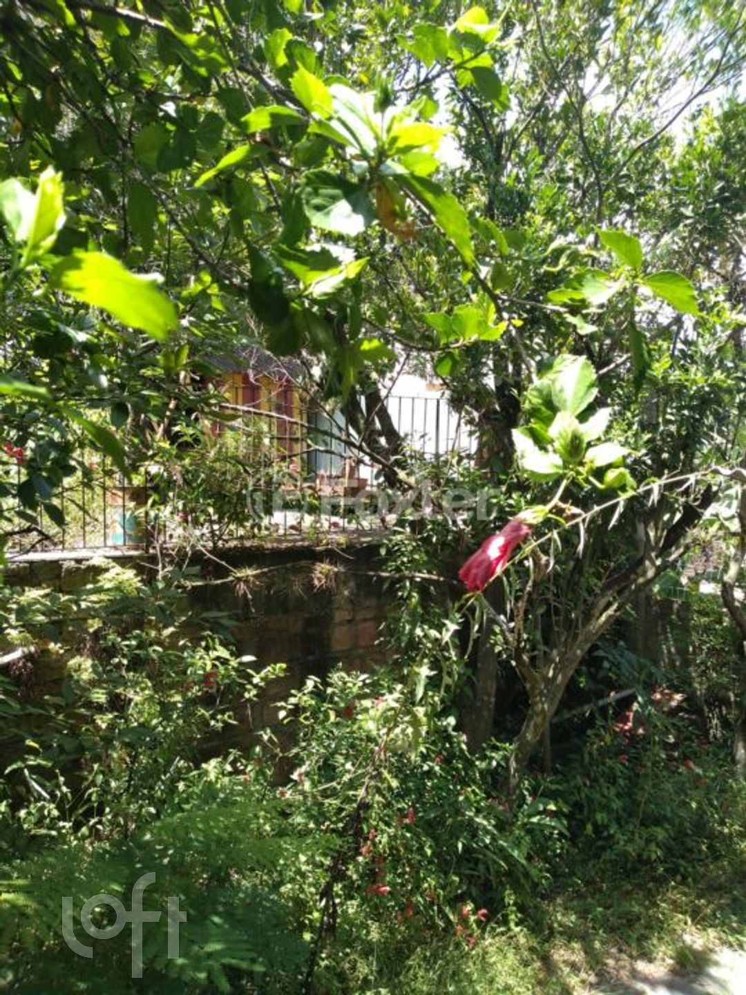 Imagem da propriedade 30