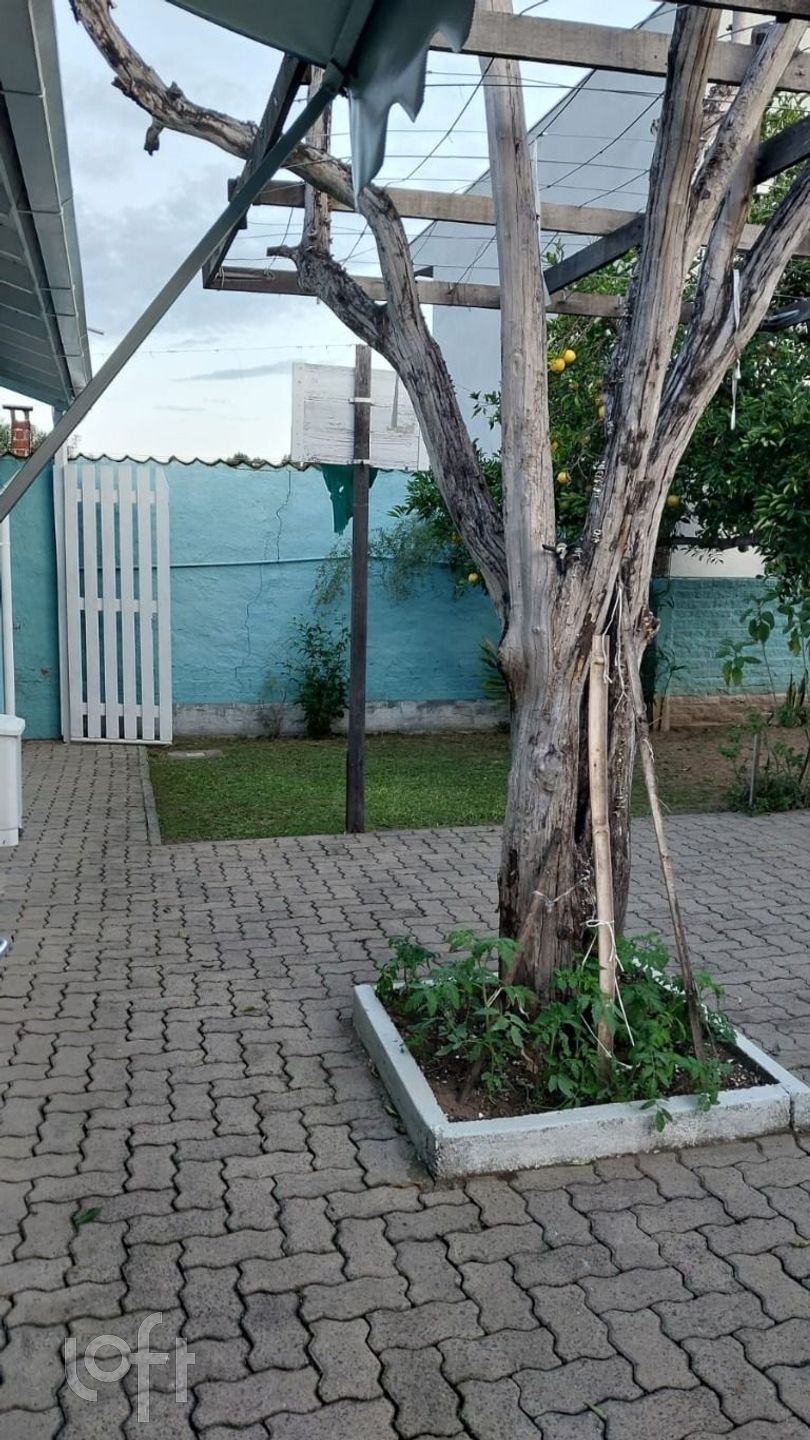 Imagem da propriedade 13