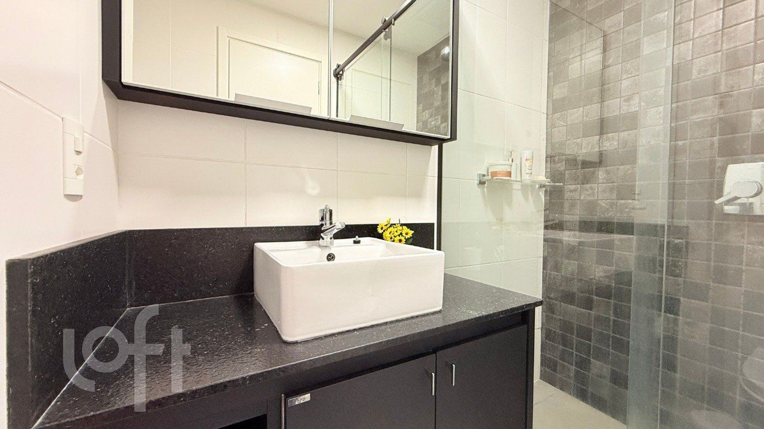 Imagem da propriedade 22