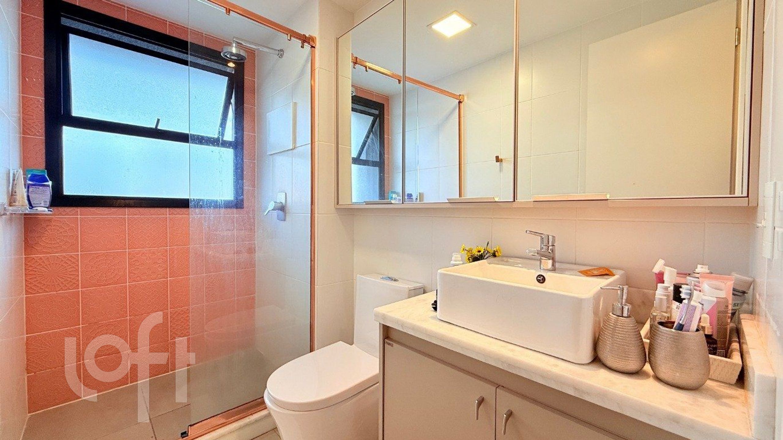 Imagem da propriedade 18