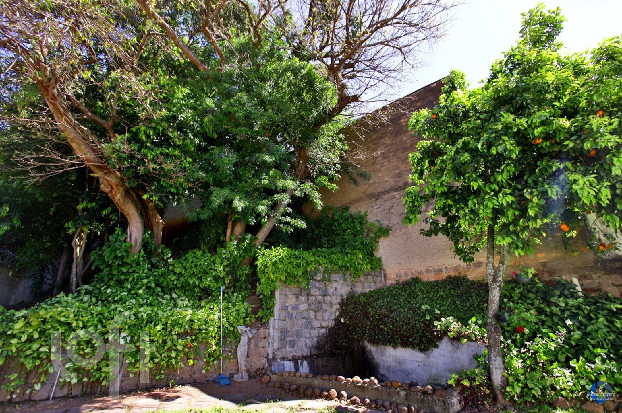 Imagem da propriedade 37