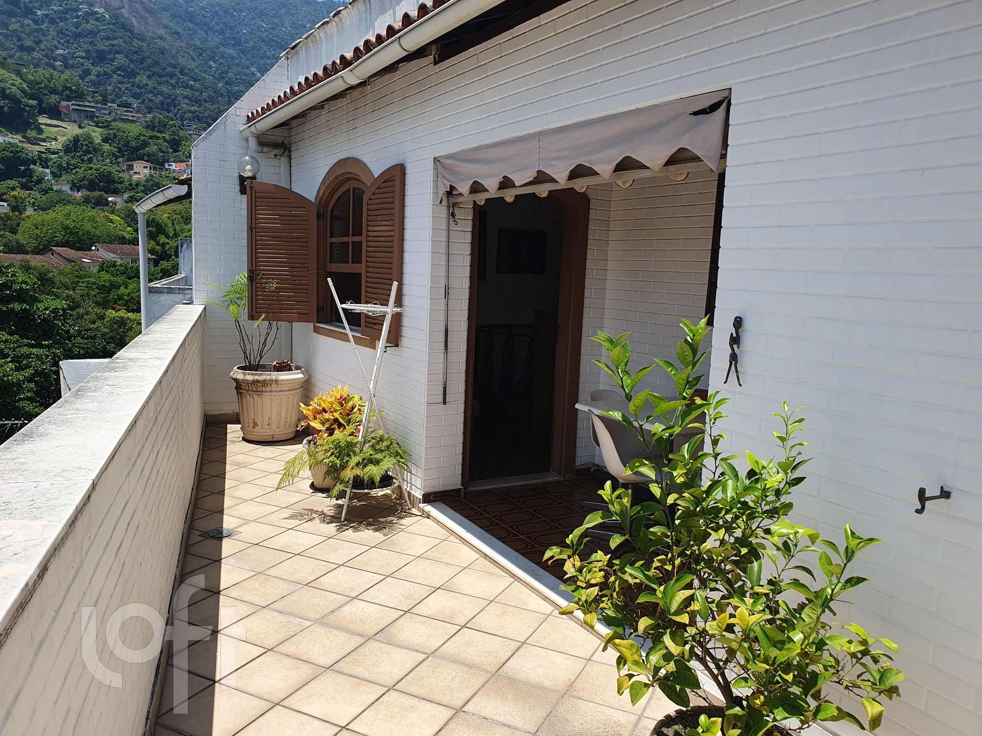 Imagem da propriedade 5