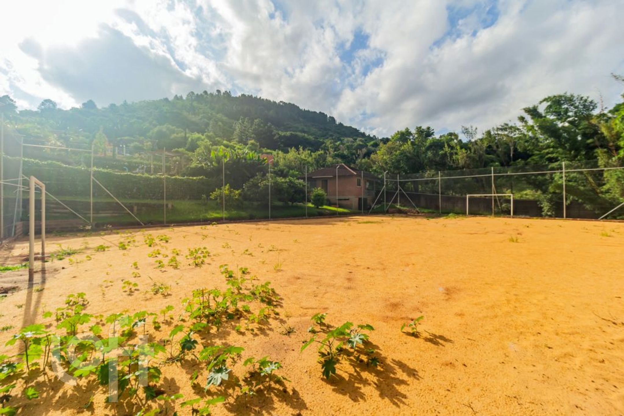 Imagem da propriedade 54