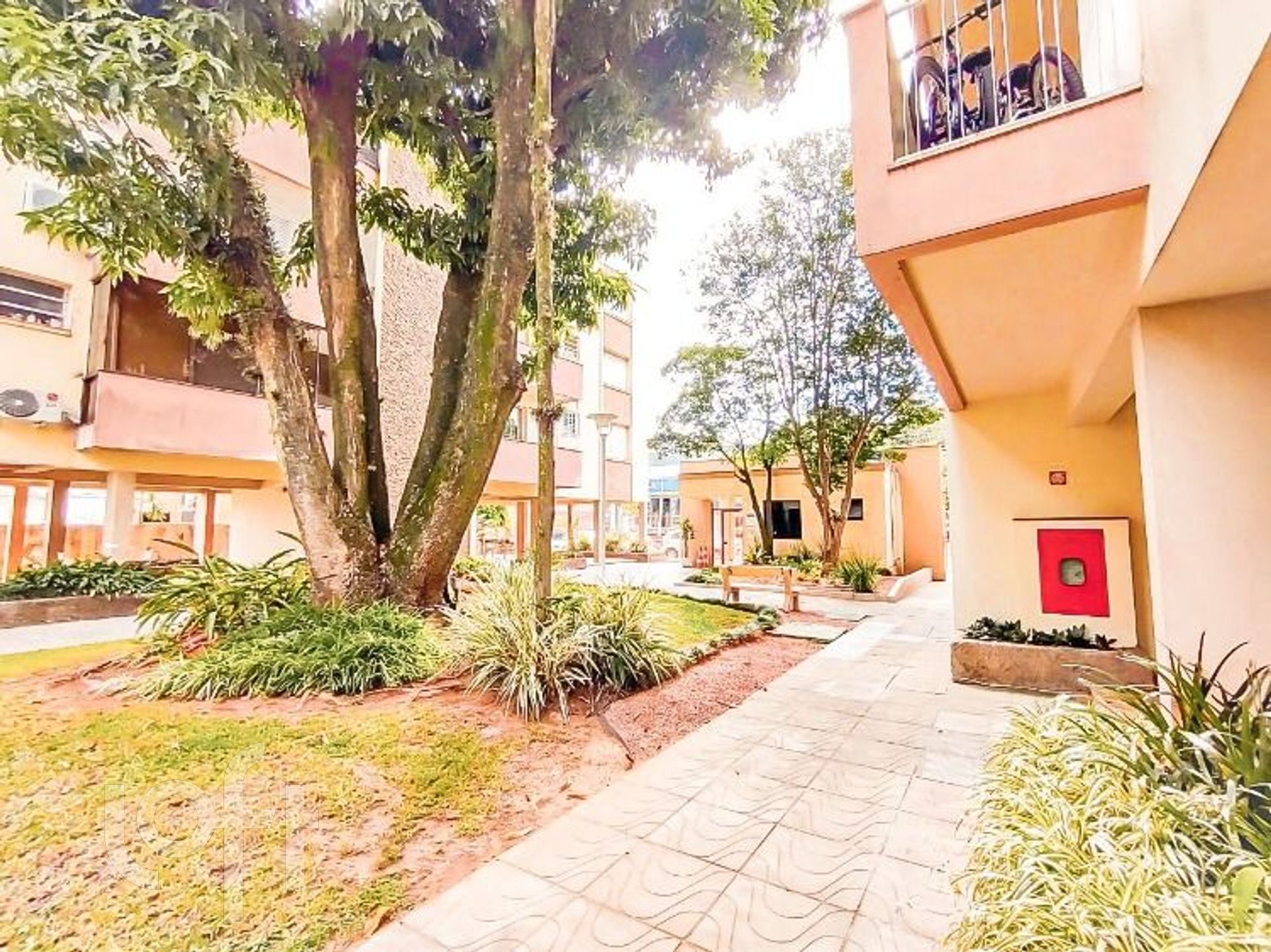 Imagem da propriedade 9