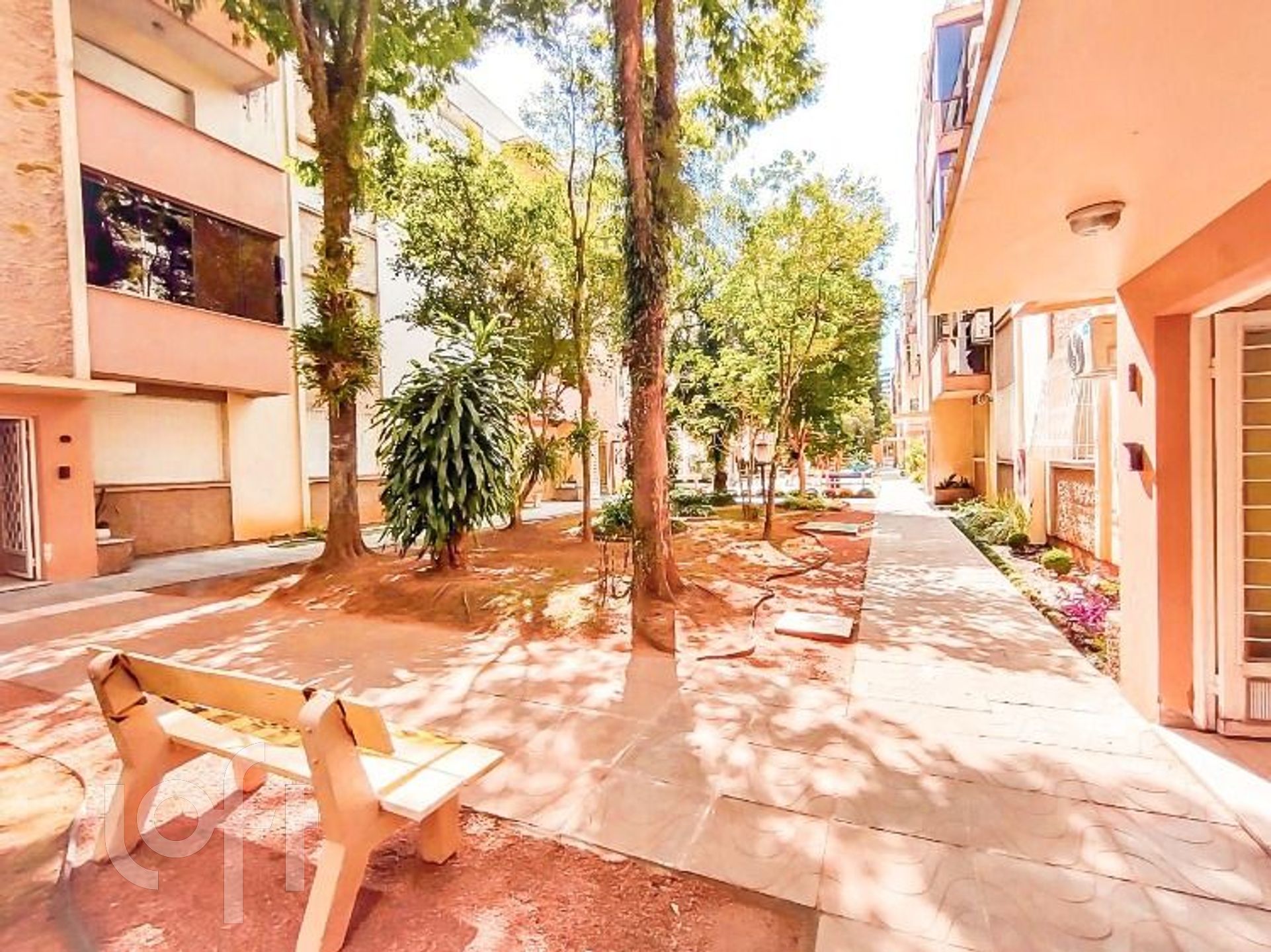 Imagem da propriedade 6