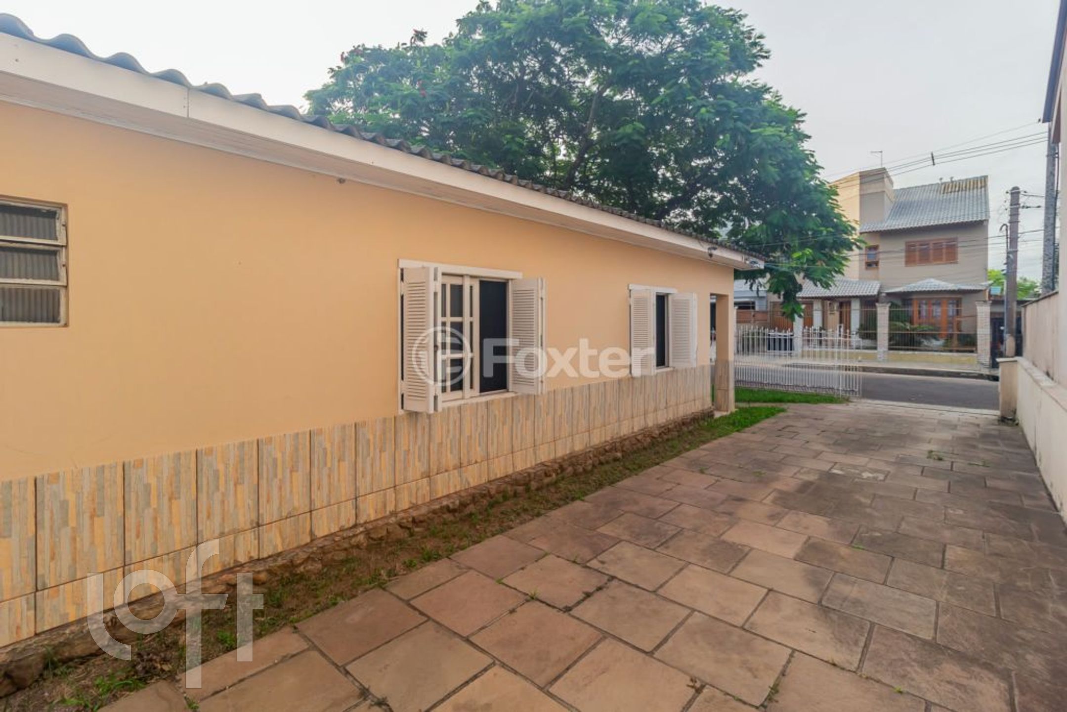 Imagem da propriedade 34