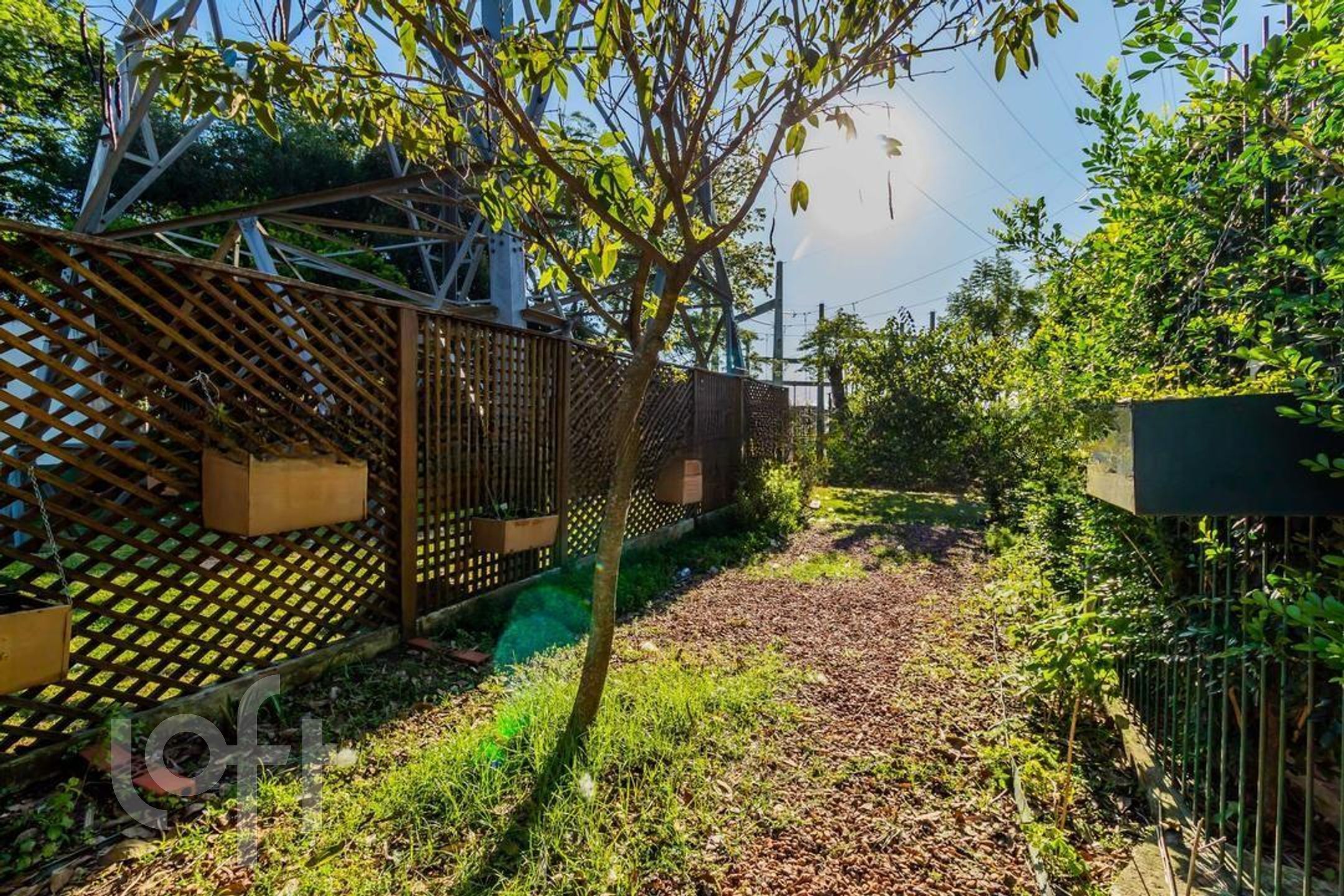 Imagem da propriedade 31