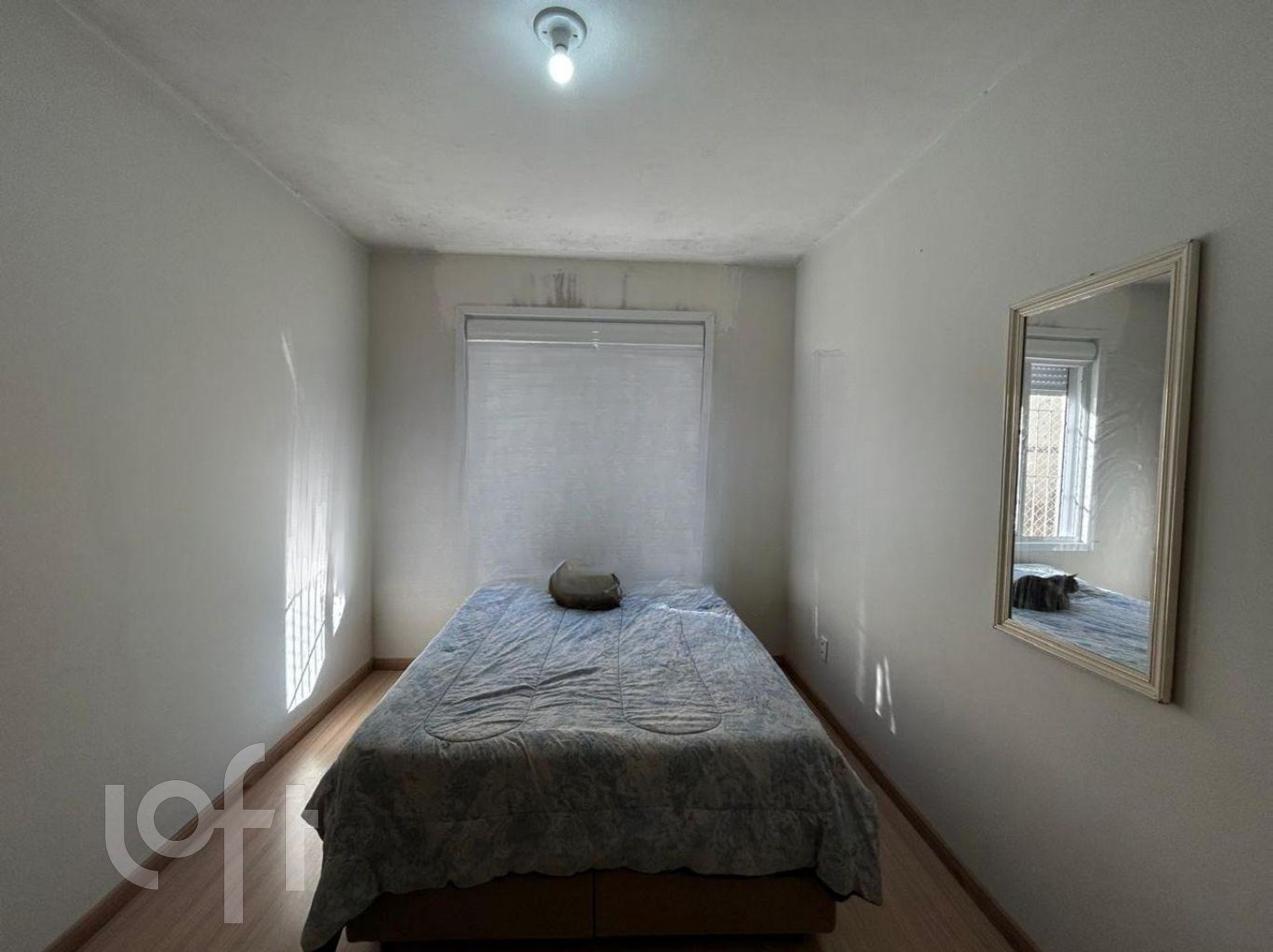 Imagem da propriedade 9