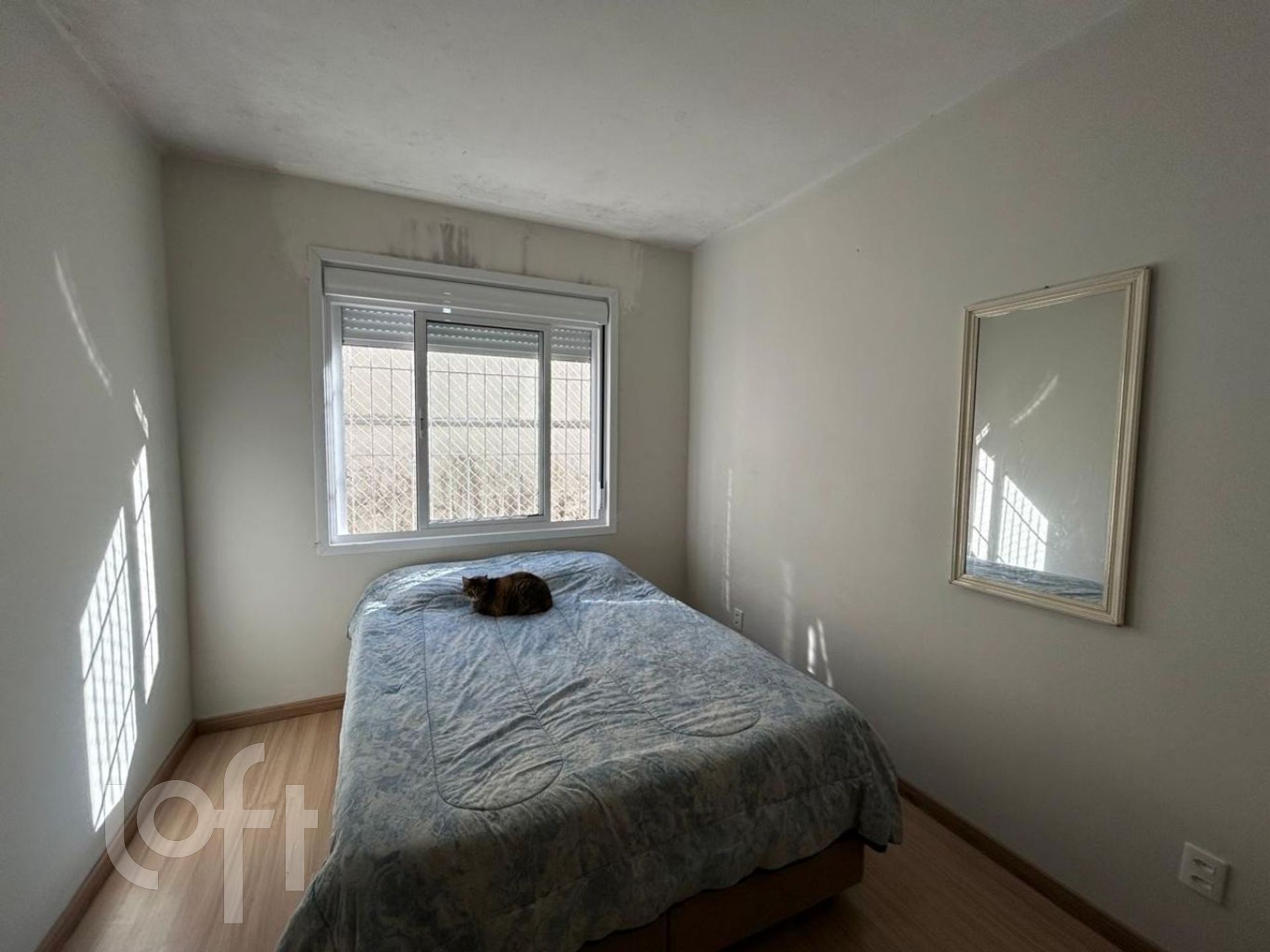 Imagem da propriedade 8