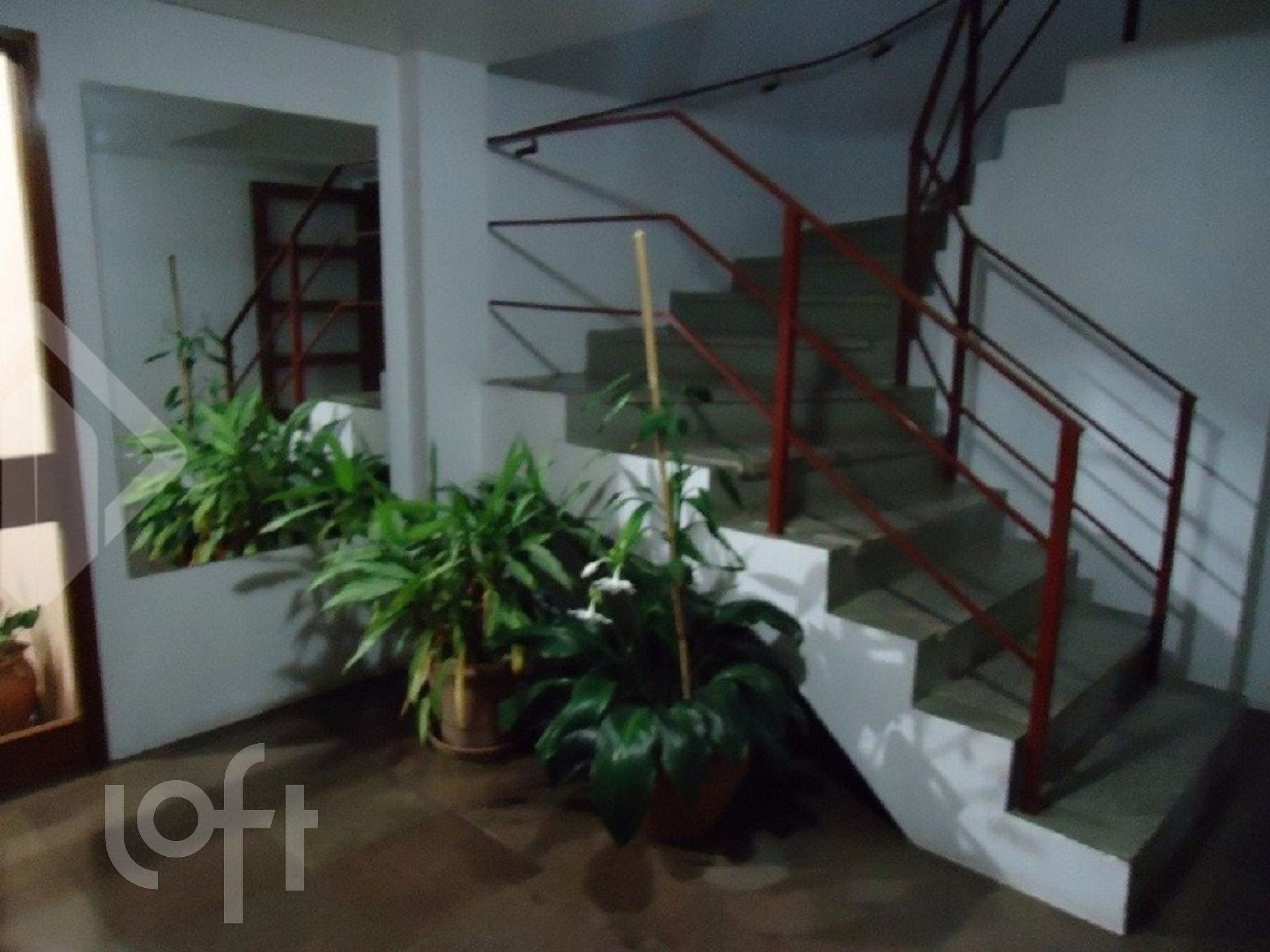 Imagem da propriedade 5