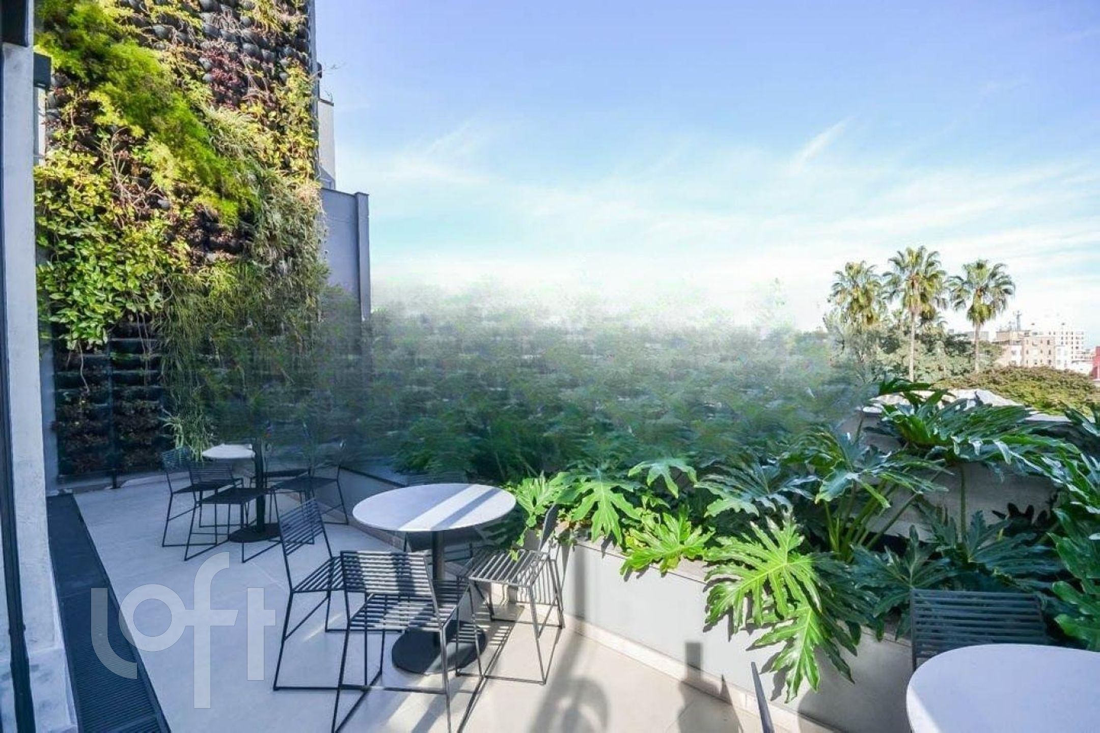 Imagem da propriedade 33