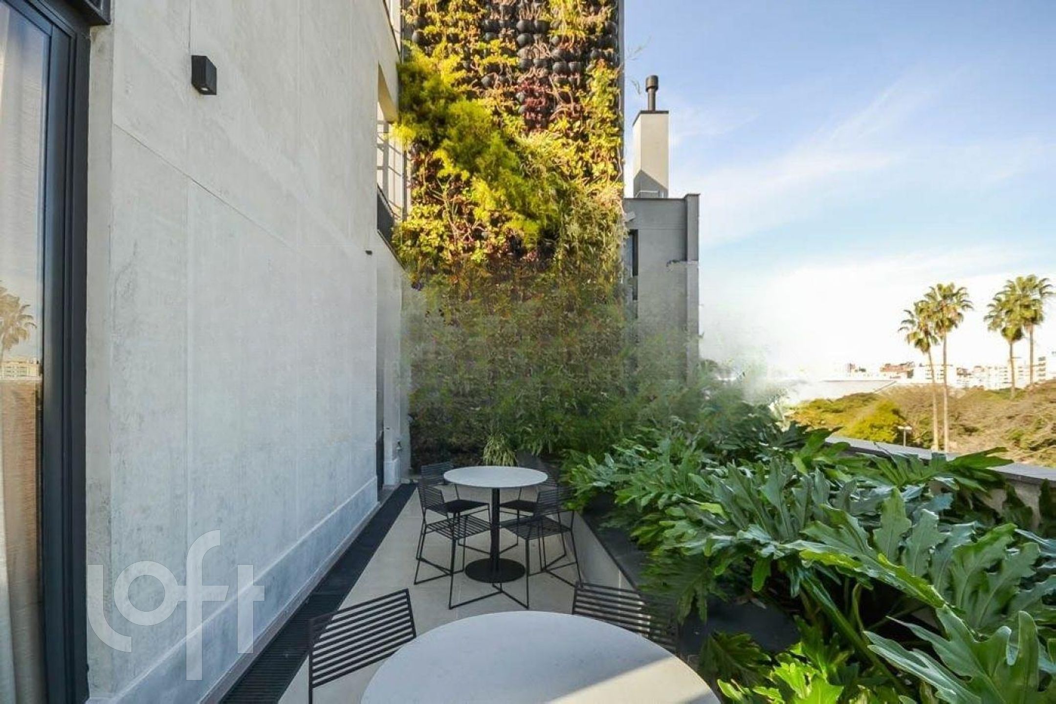 Imagem da propriedade 31