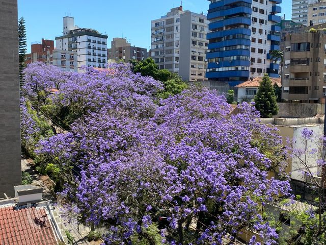 Apartamento com 78m², 2 dormitórios, 2 suítes, 3 vagas, Rio Branco em Porto Alegre