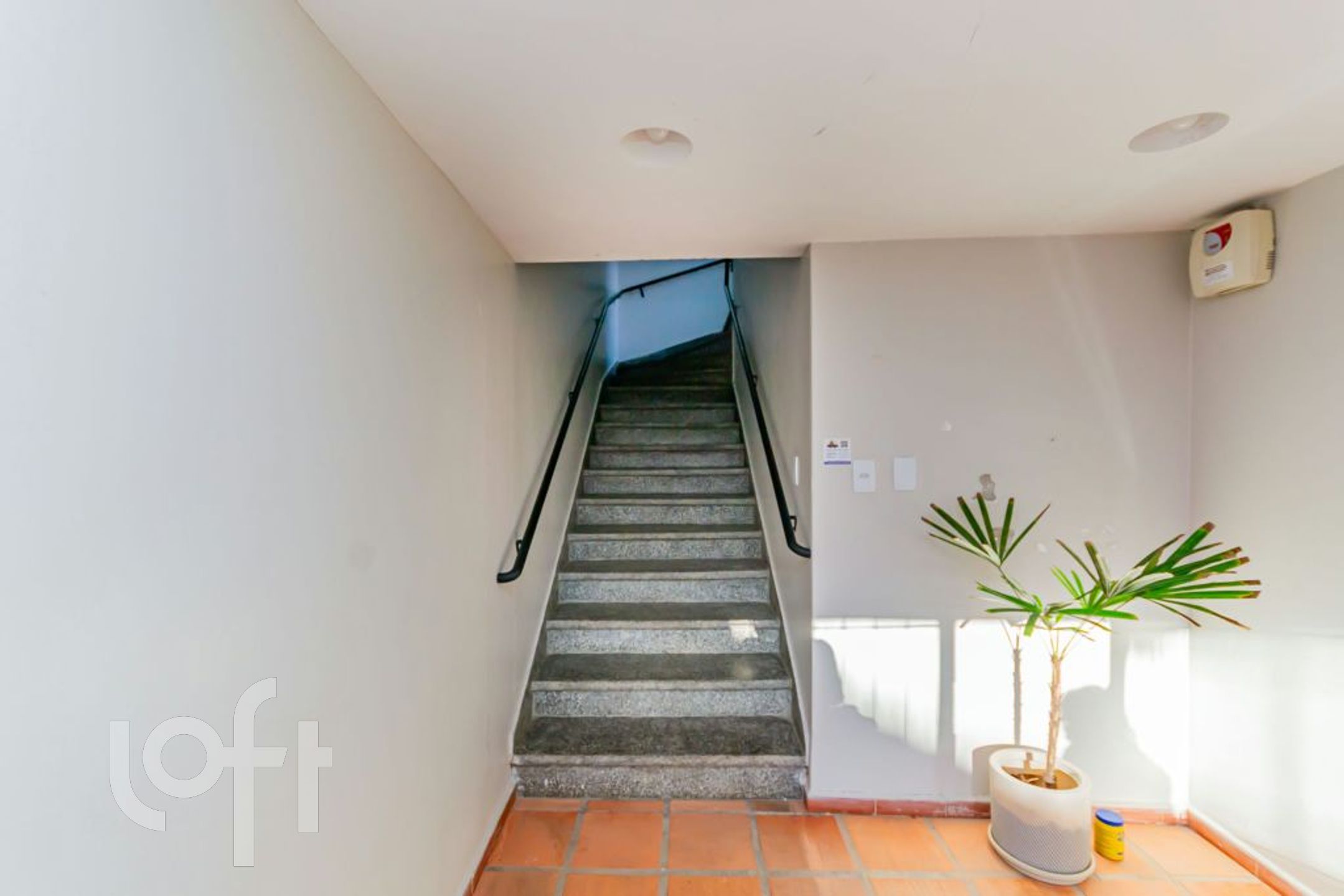 Imagem da propriedade 23