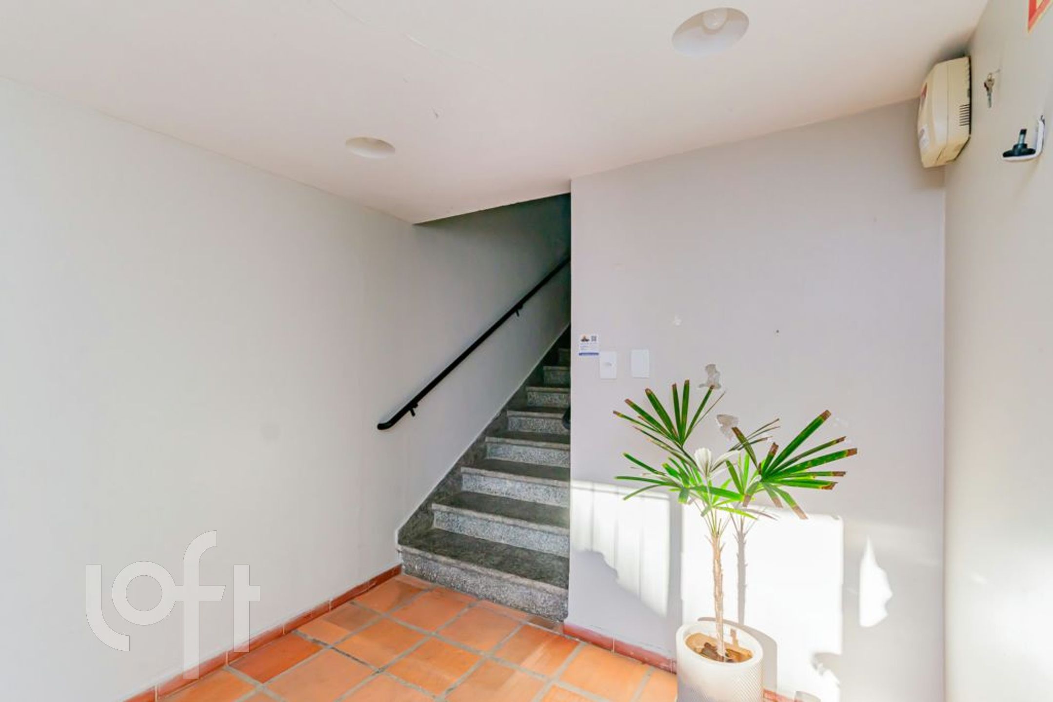 Imagem da propriedade 22