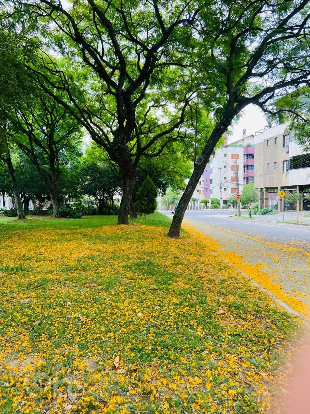 Imagem da propriedade 27