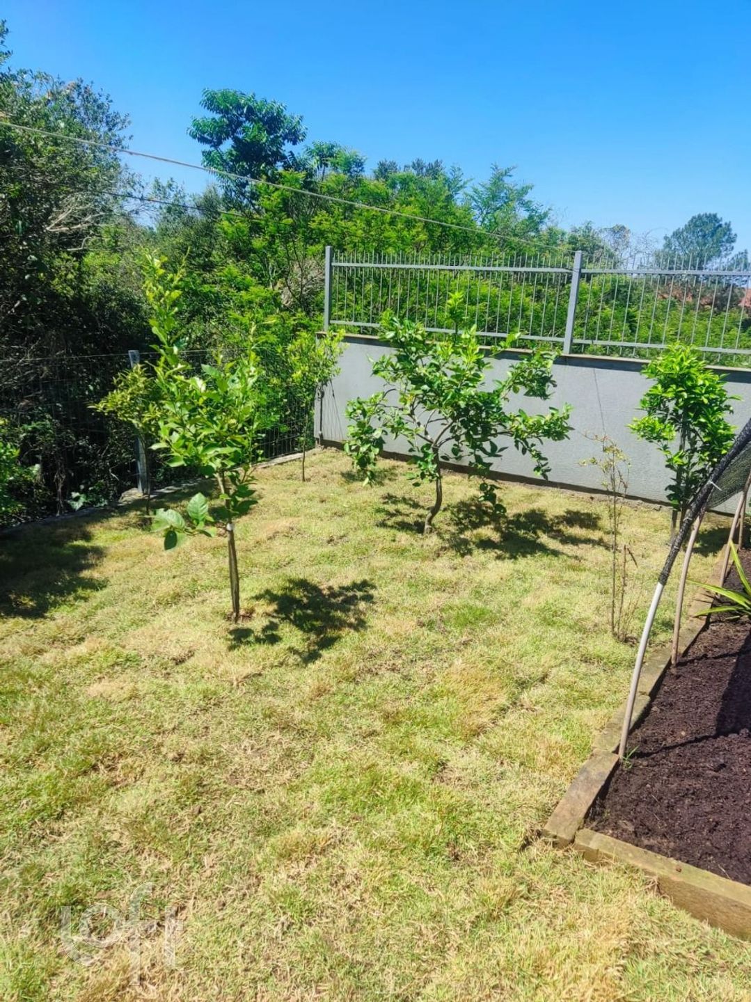 Imagem da propriedade 4