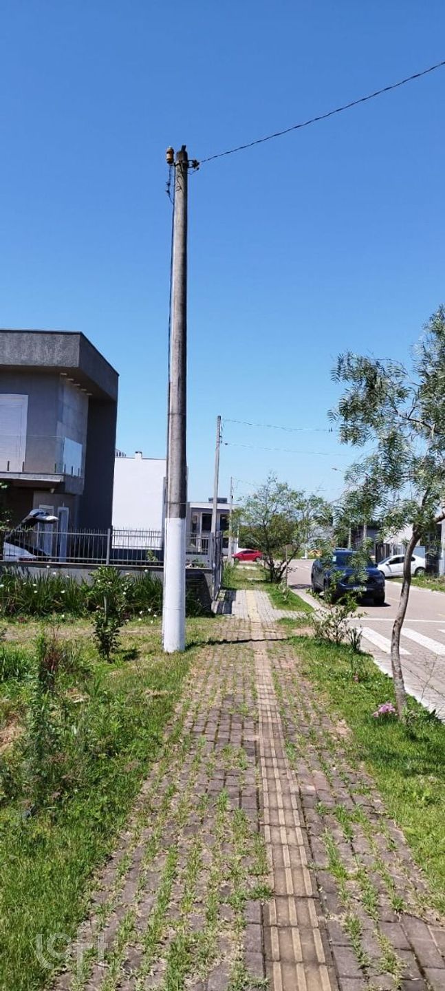 Imagem da propriedade 33