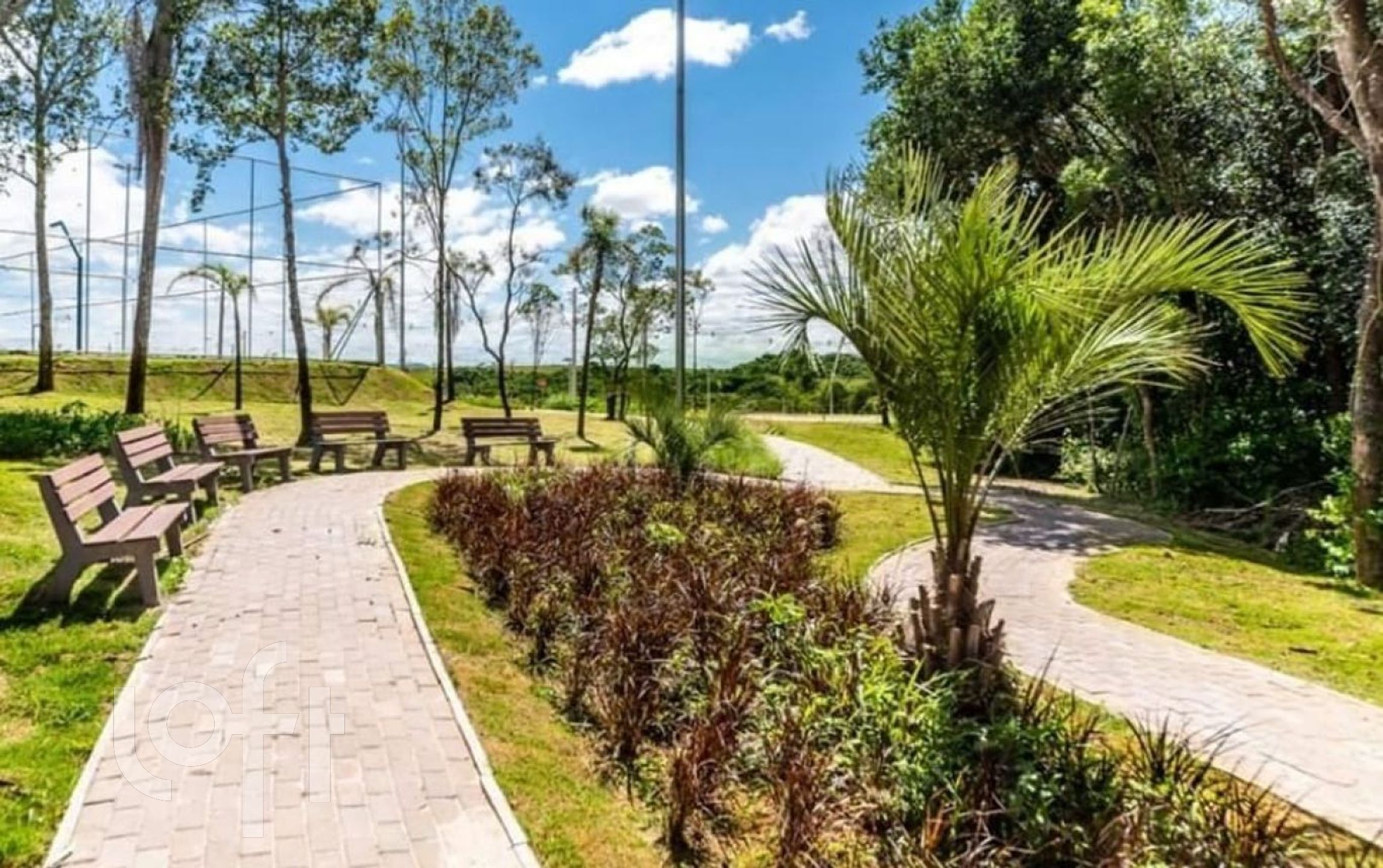 Imagem da propriedade 34