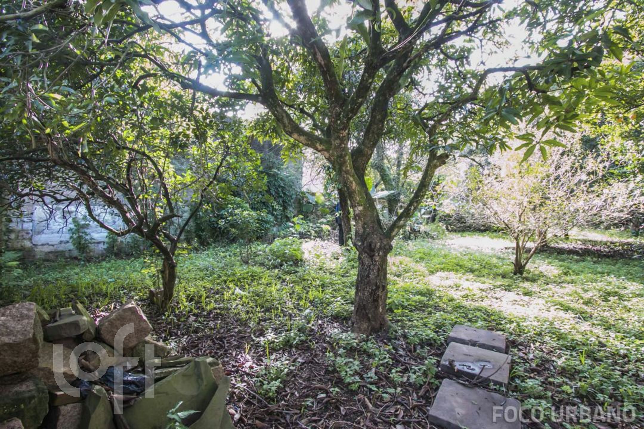 Imagem da propriedade 38