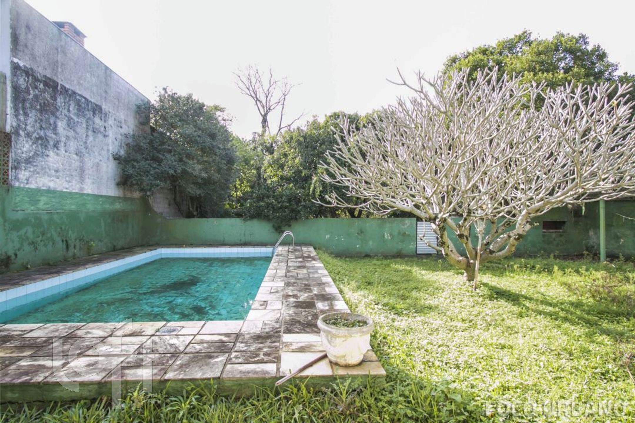 Imagem da propriedade 20