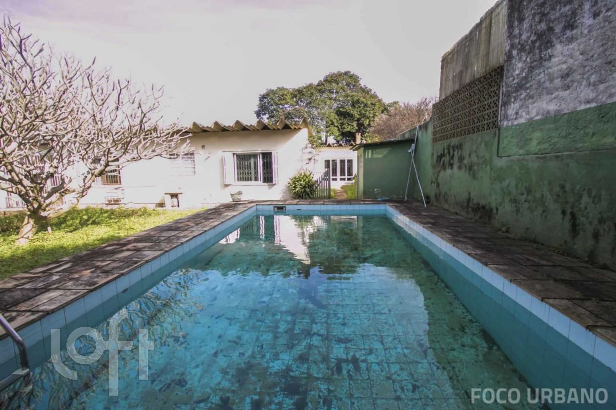 Imagem da propriedade 43