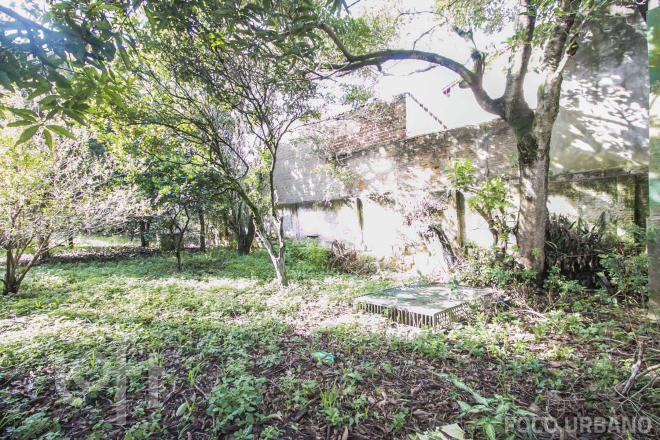 Imagem da propriedade 39