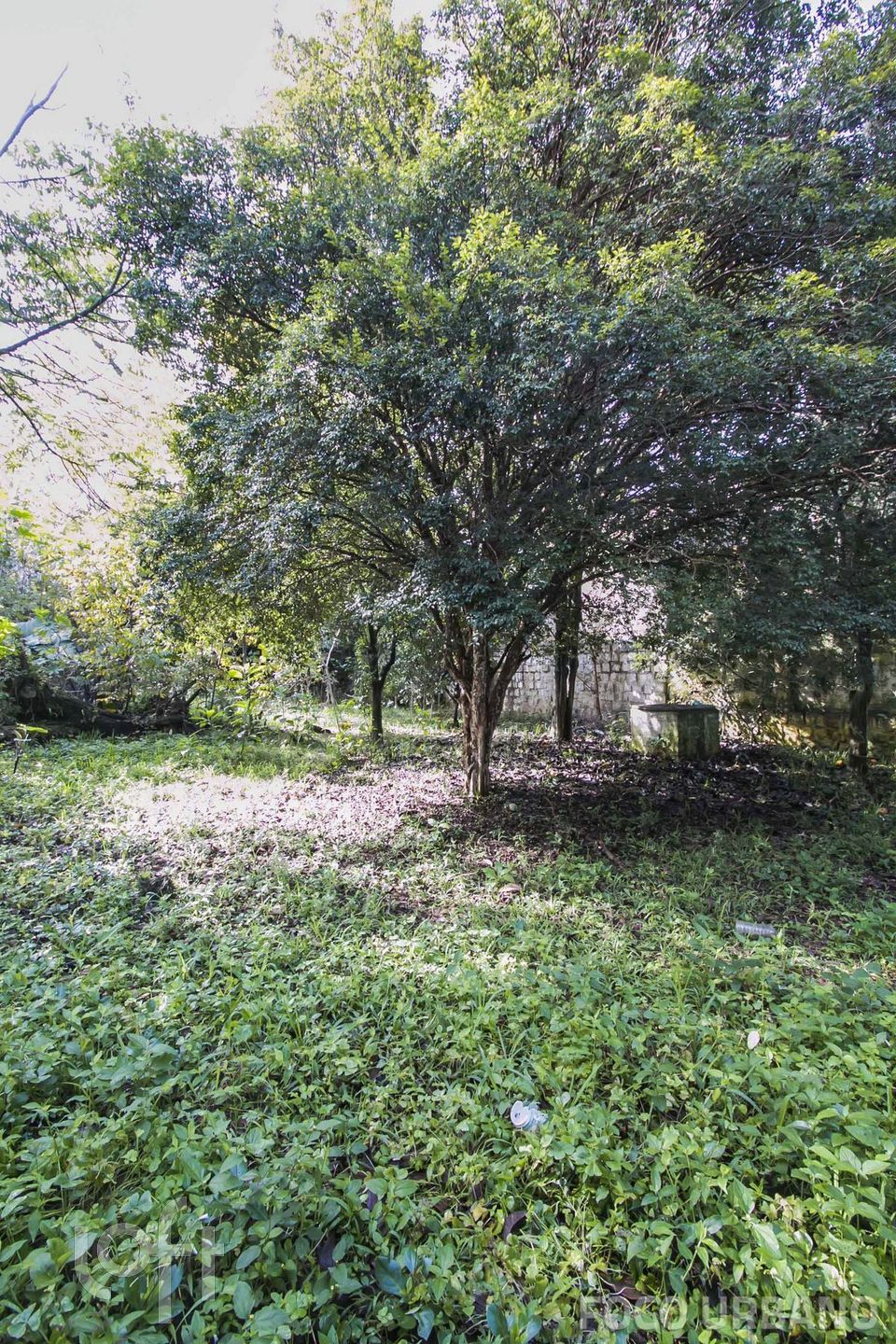 Imagem da propriedade 40