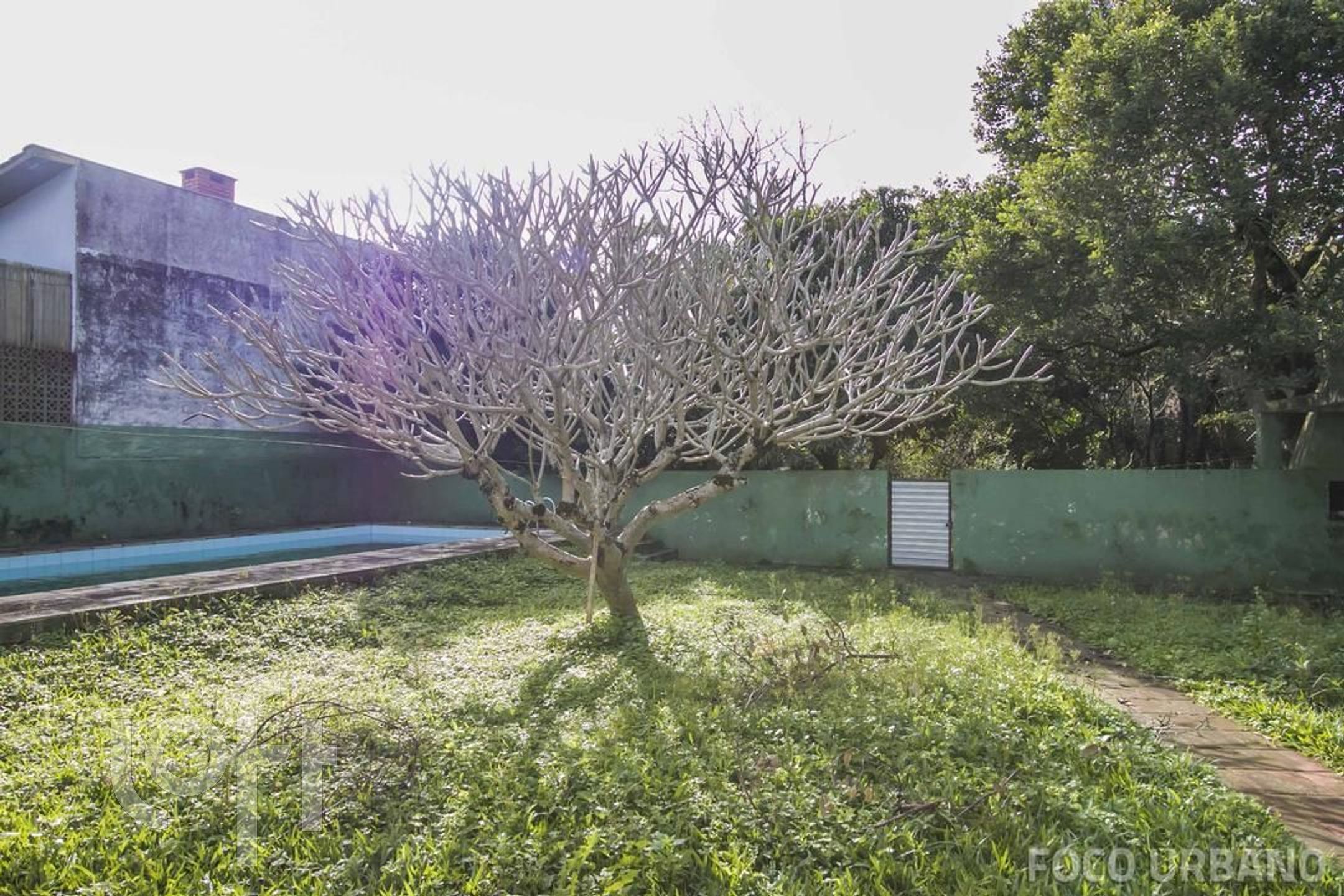 Imagem da propriedade 24