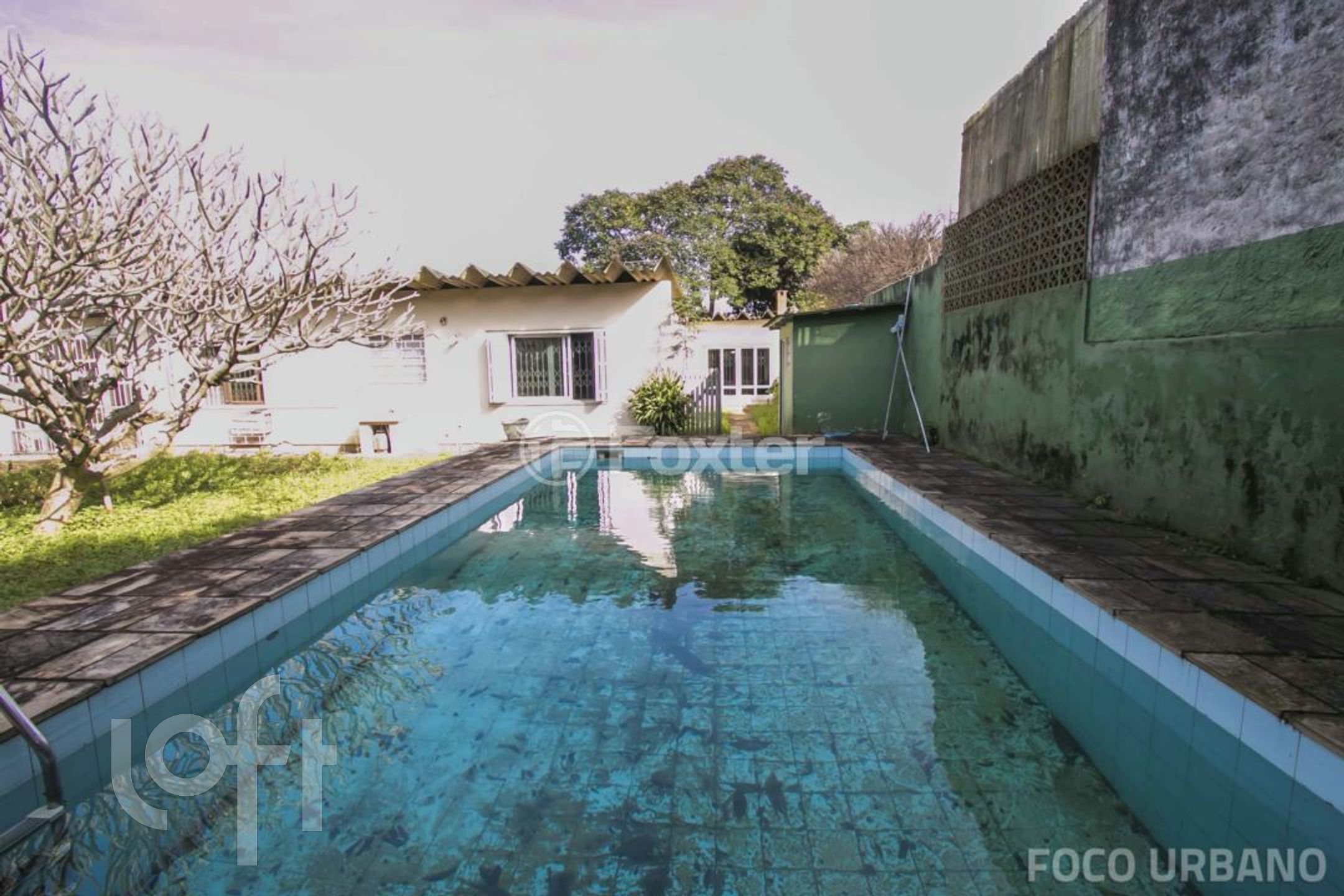 Imagem da propriedade 43