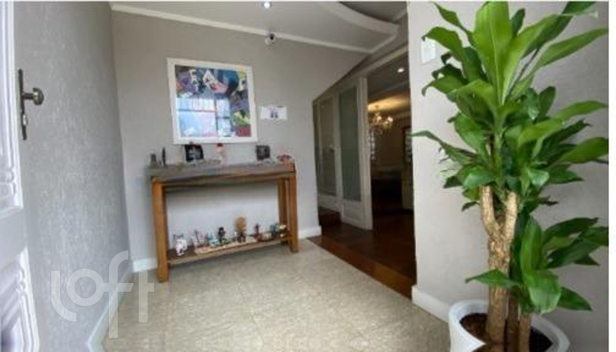 Imagem da propriedade 3