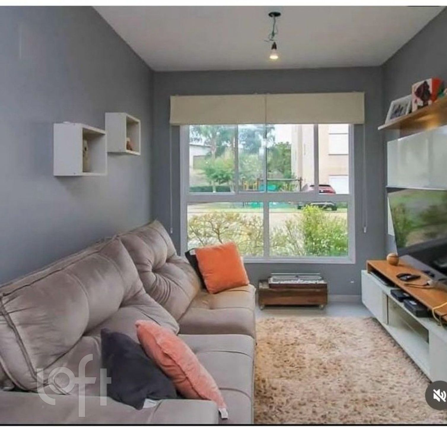 Imagem da propriedade 3