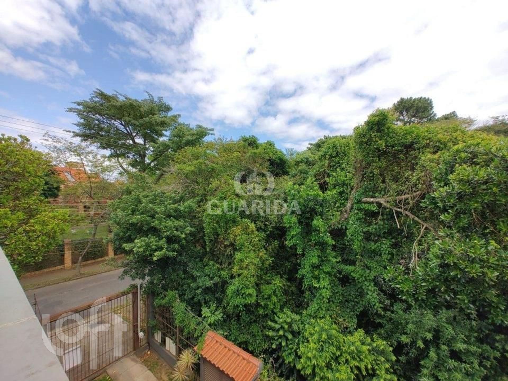 Imagem da propriedade 4