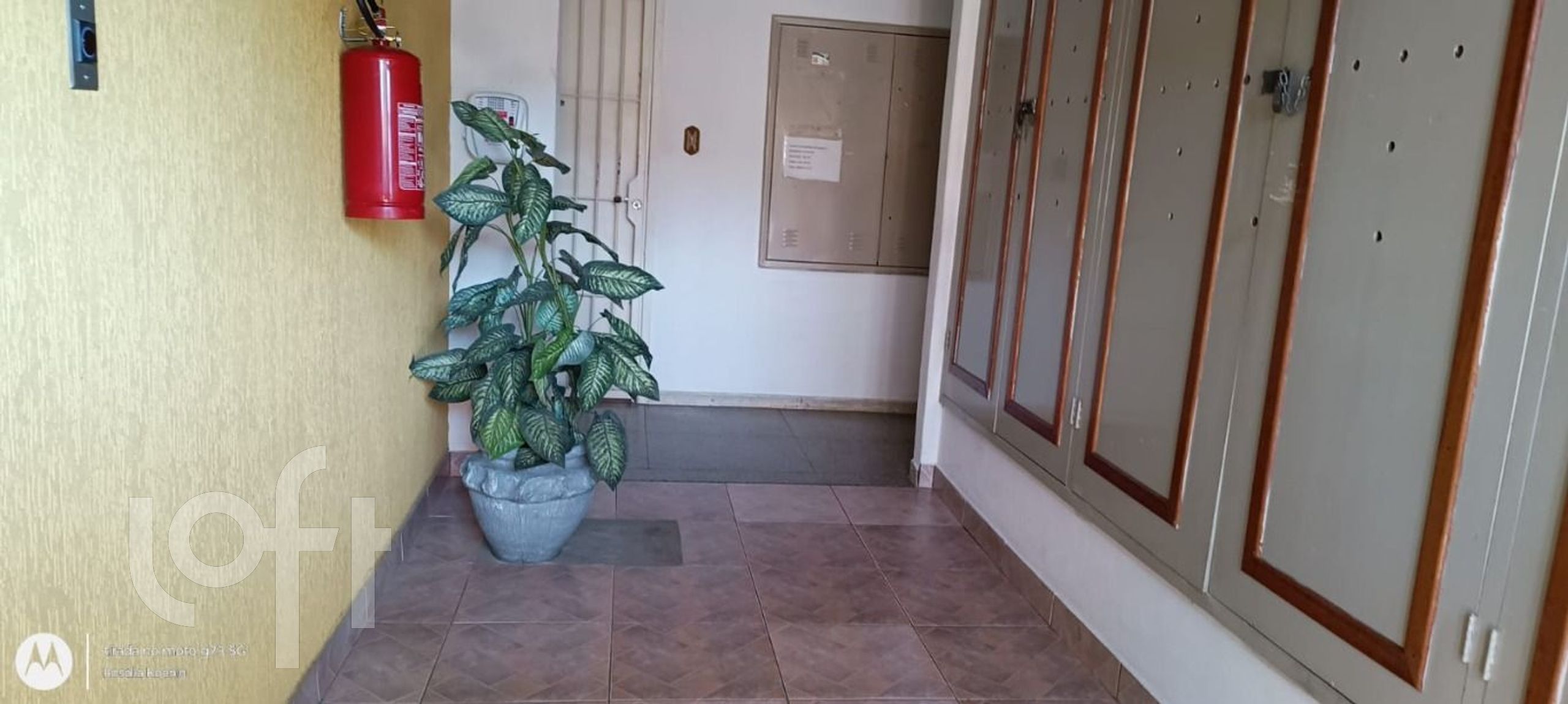 Imagem da propriedade 3