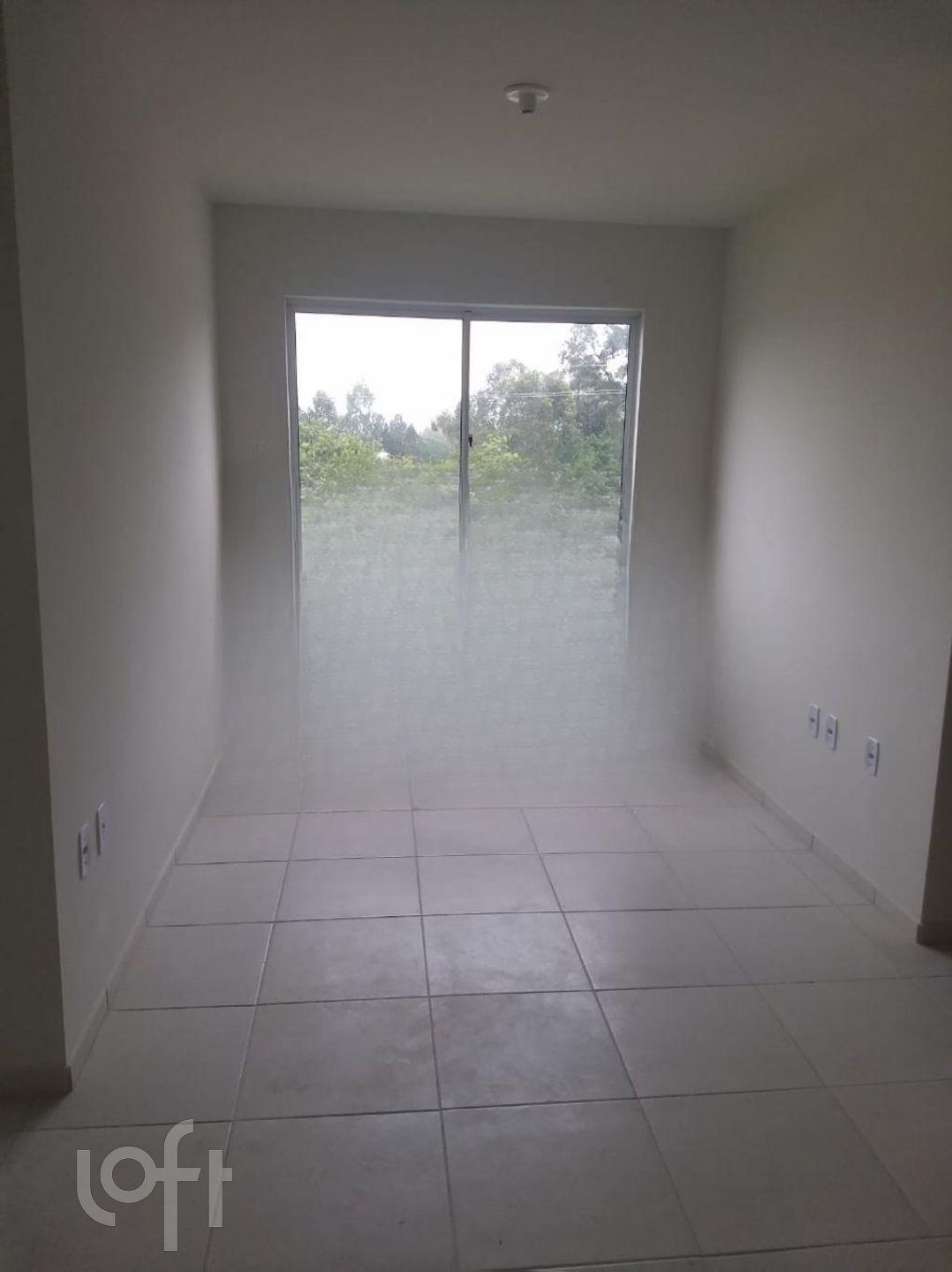 Imagem da propriedade 4