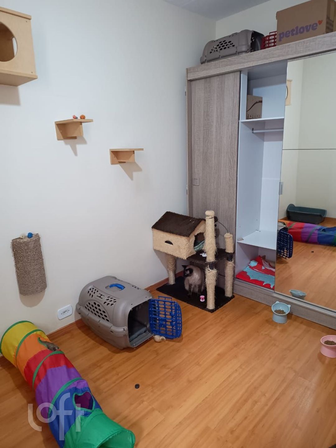 Apartamento à venda com 3 quartos, 50m² - Foto 17