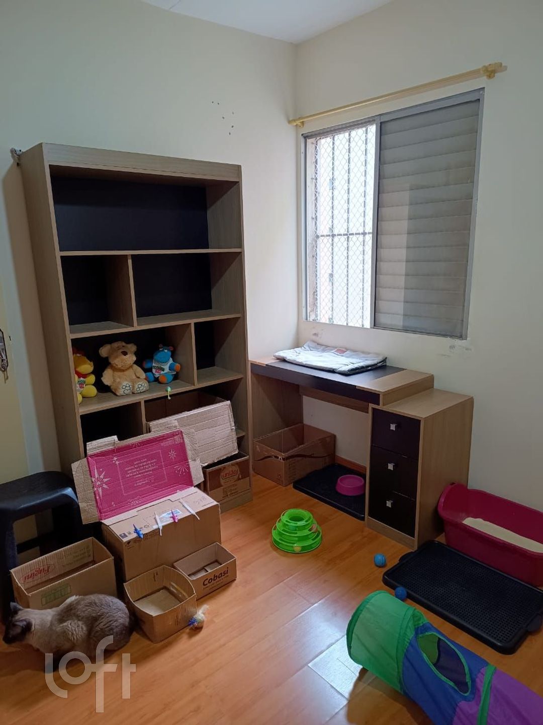 Apartamento à venda com 3 quartos, 50m² - Foto 16