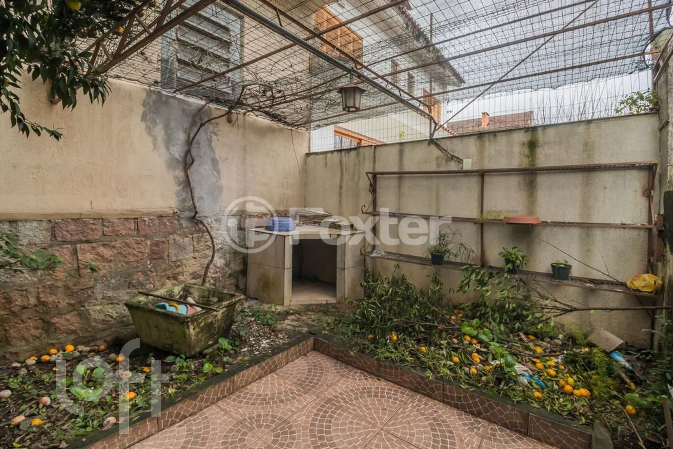 Imagem da propriedade 81