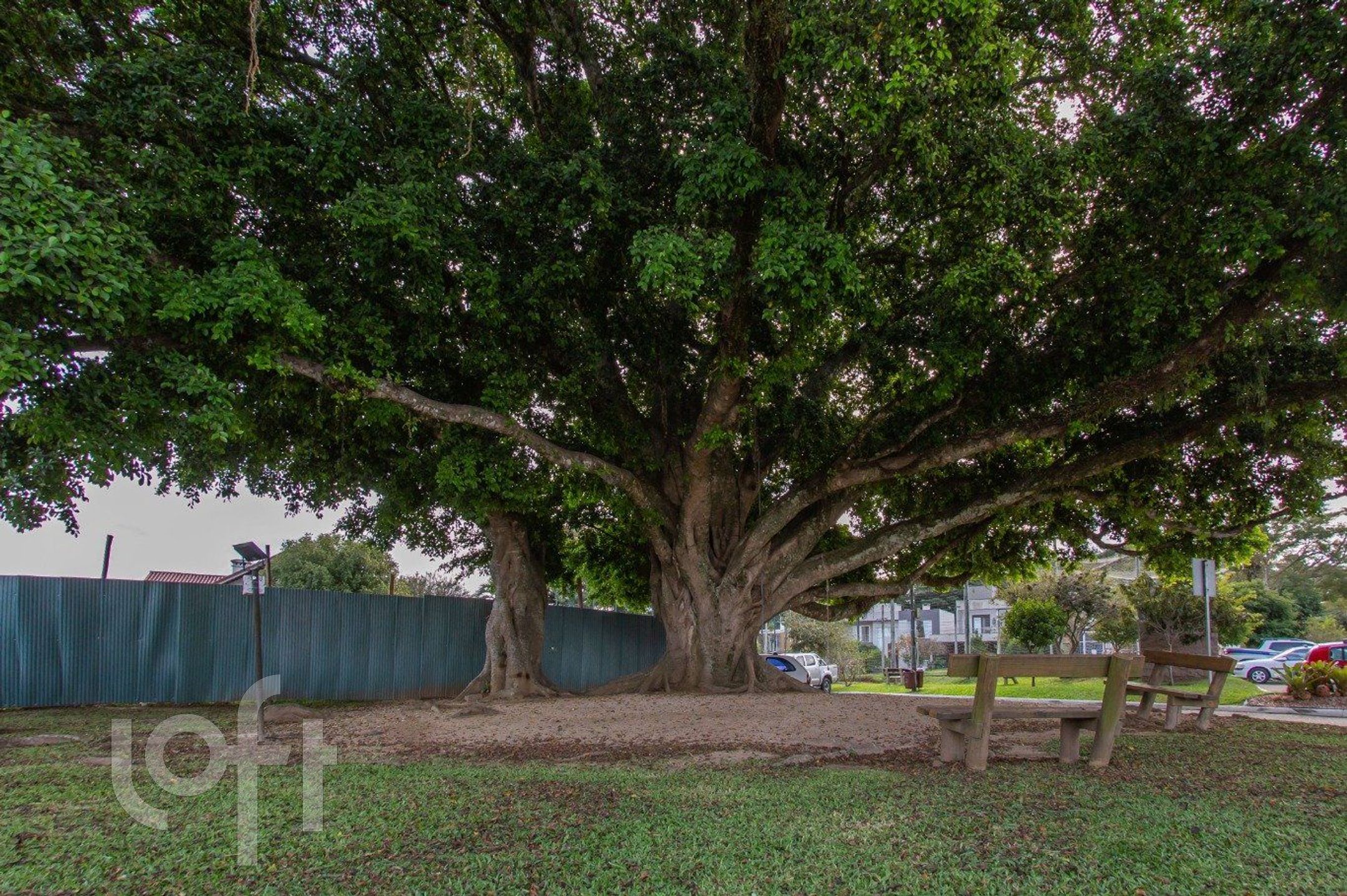 Imagem da propriedade 45