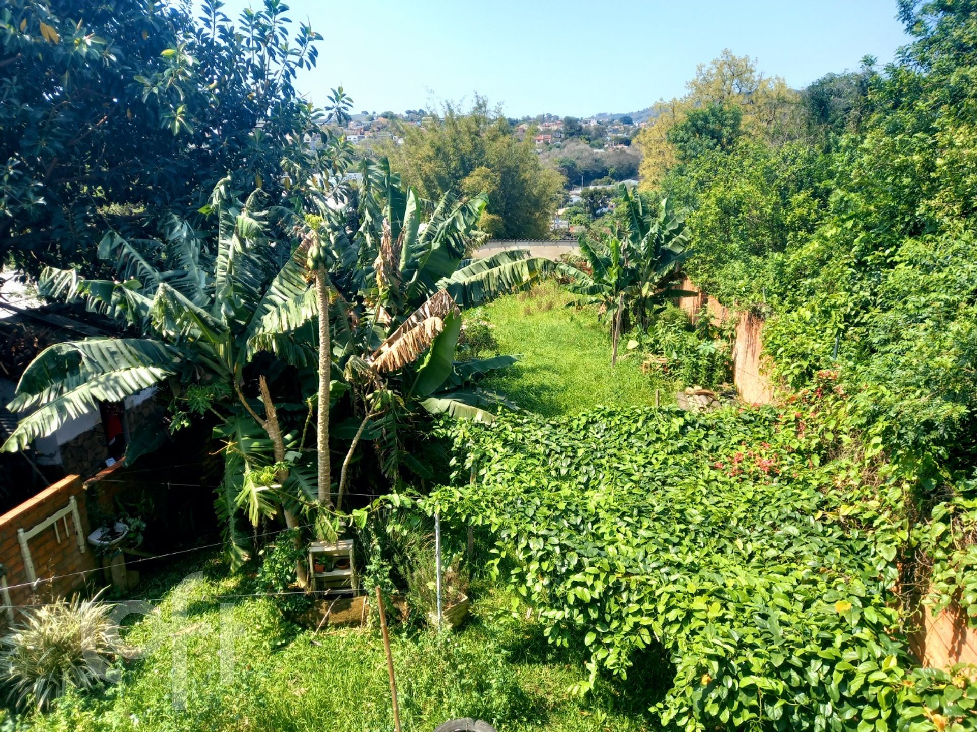 Imagem da propriedade 34