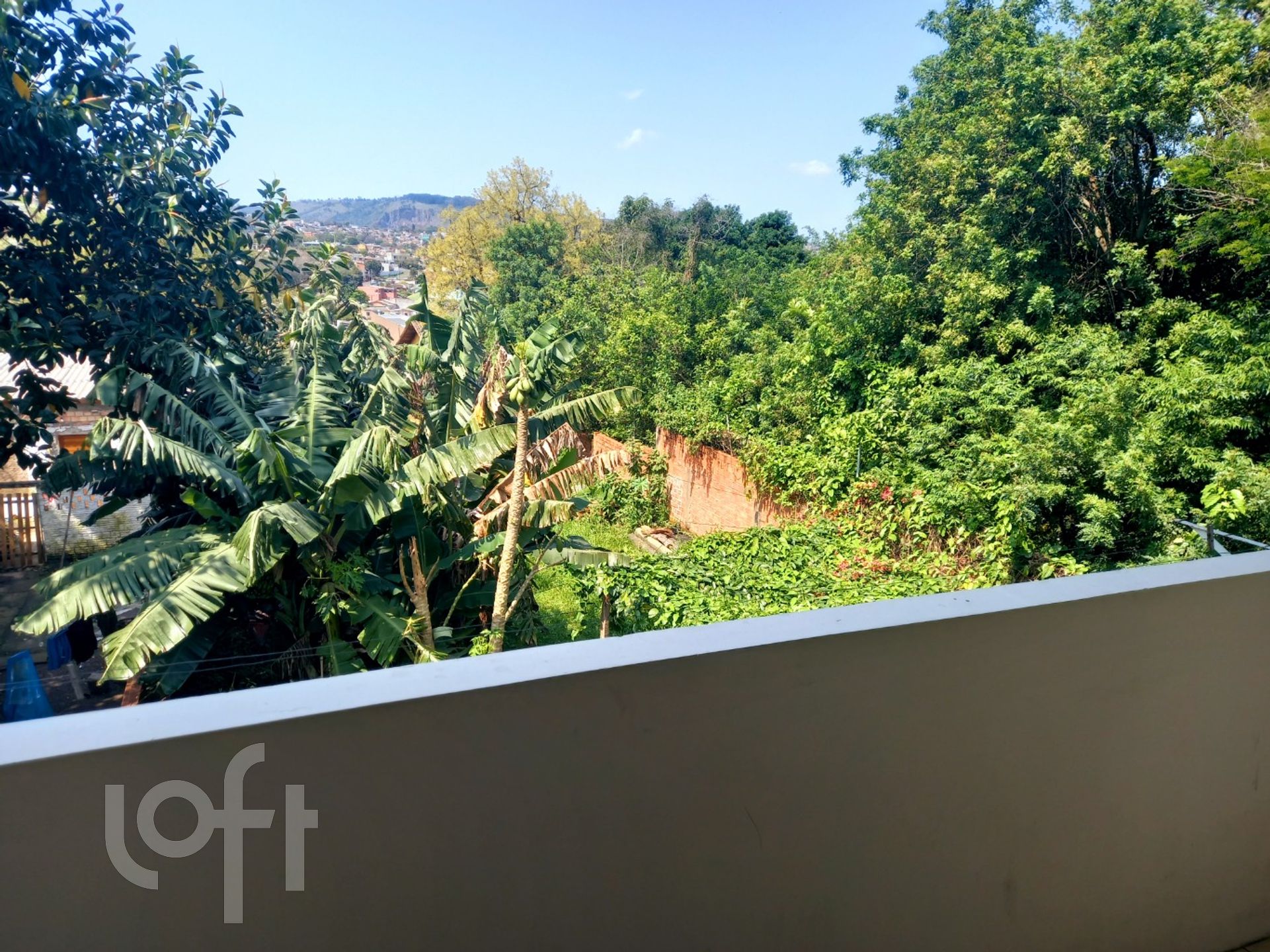 Imagem da propriedade 54