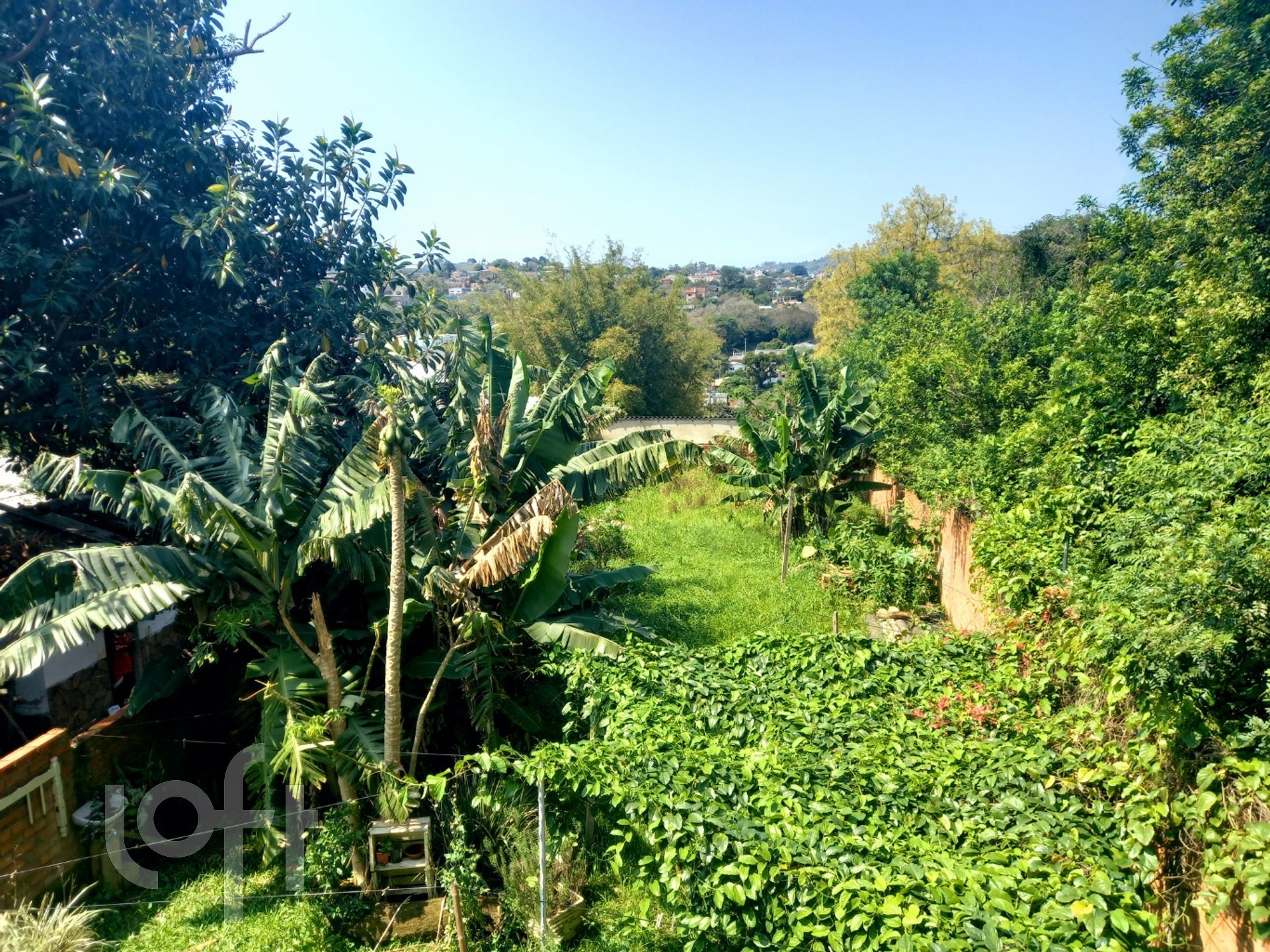 Imagem da propriedade 36