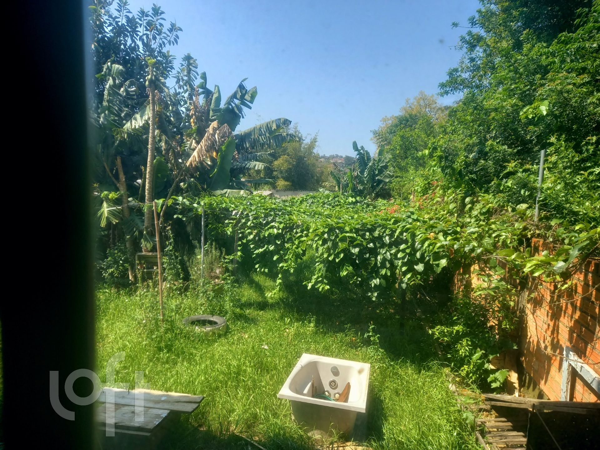 Imagem da propriedade 11