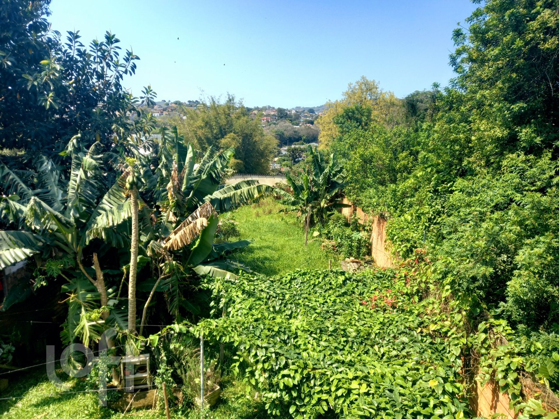 Imagem da propriedade 35