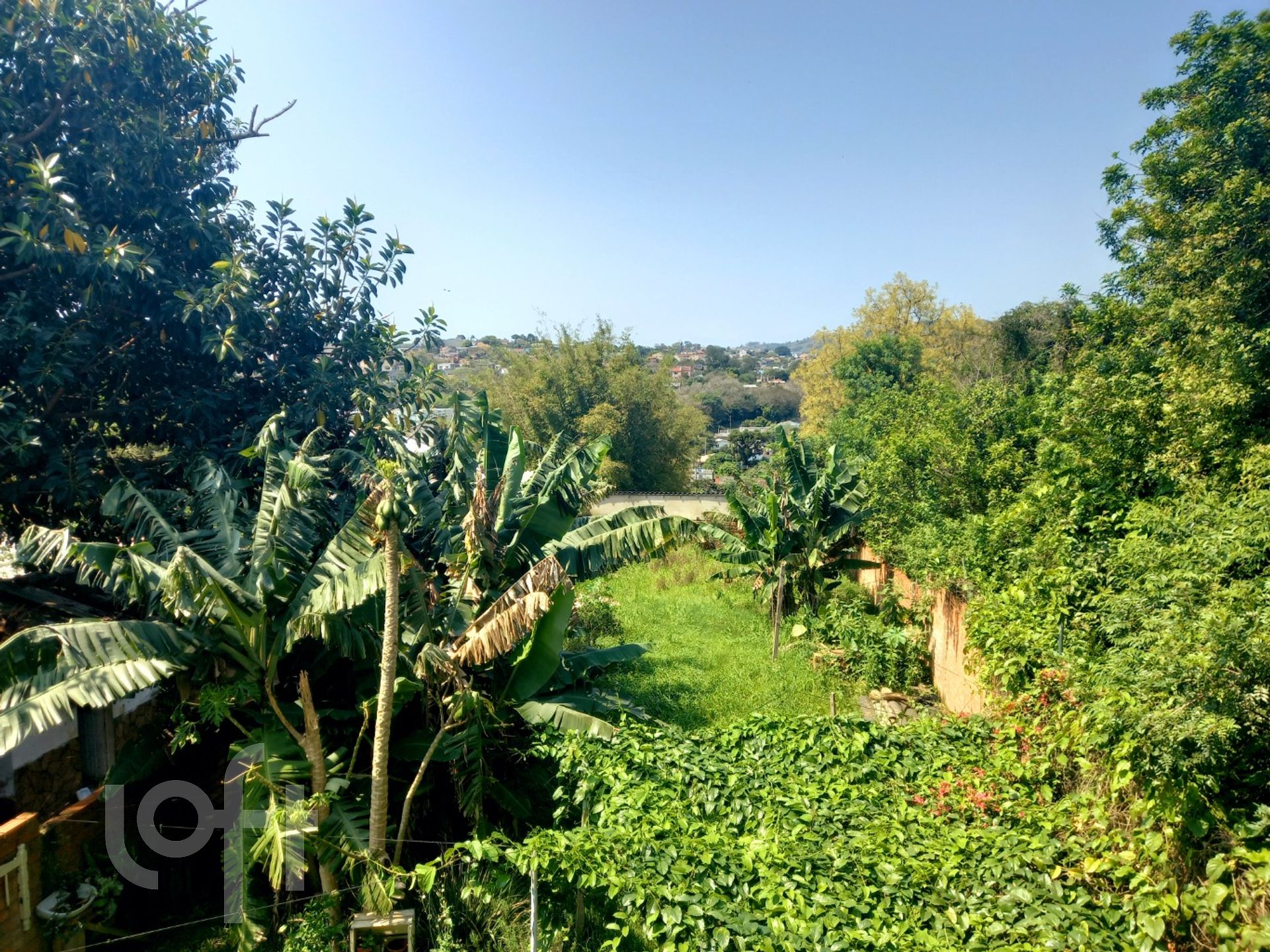 Imagem da propriedade 33