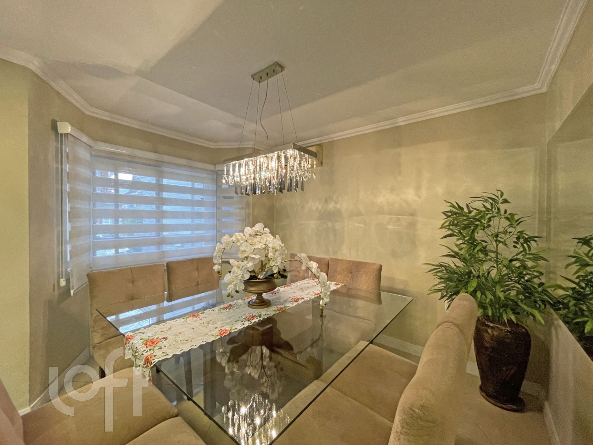 Imagem da propriedade 3