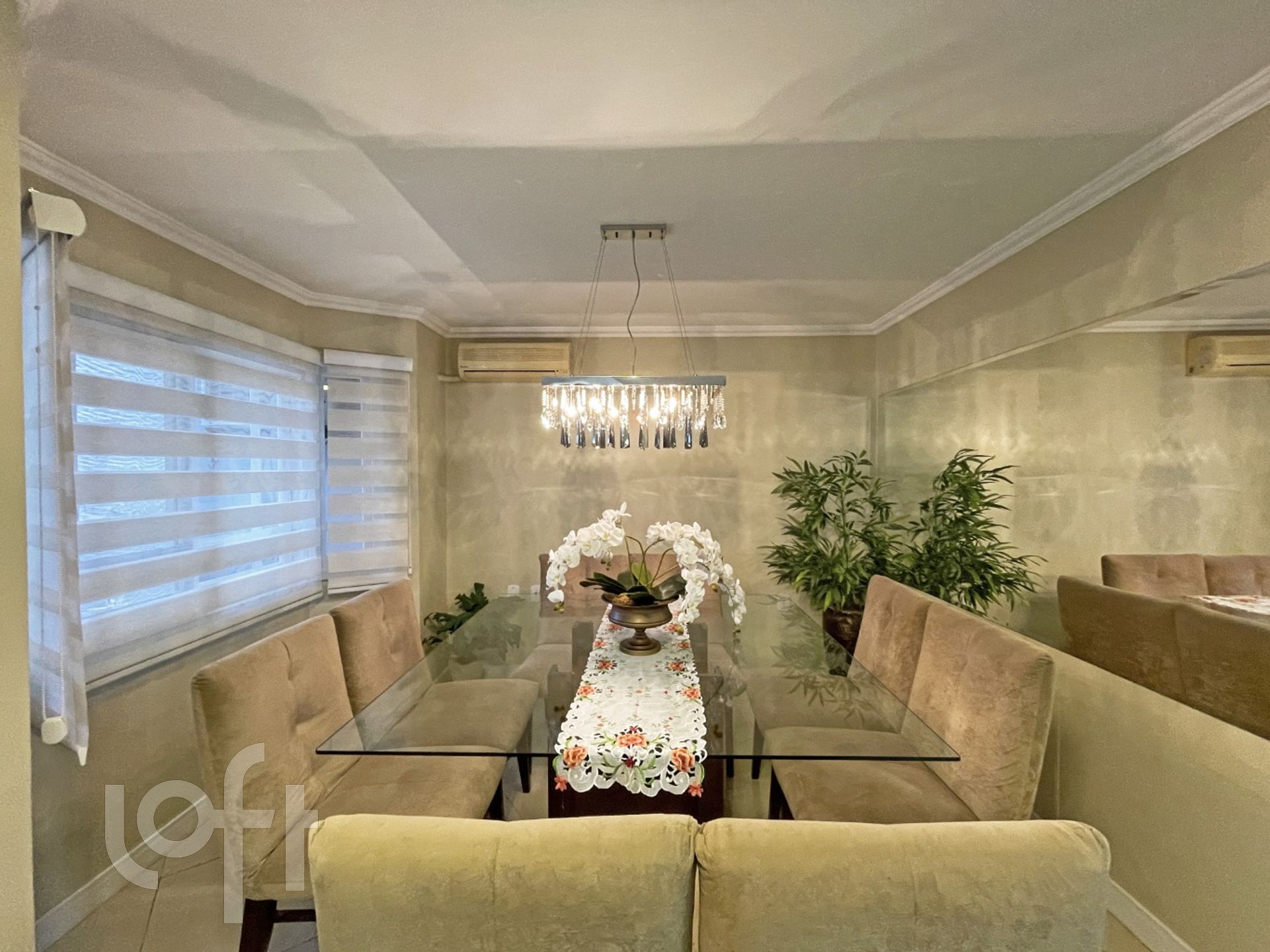 Imagem da propriedade 4