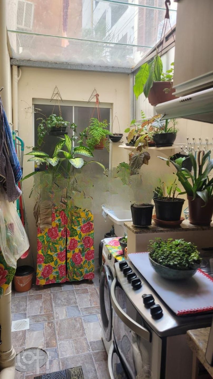 Imagem da propriedade 13