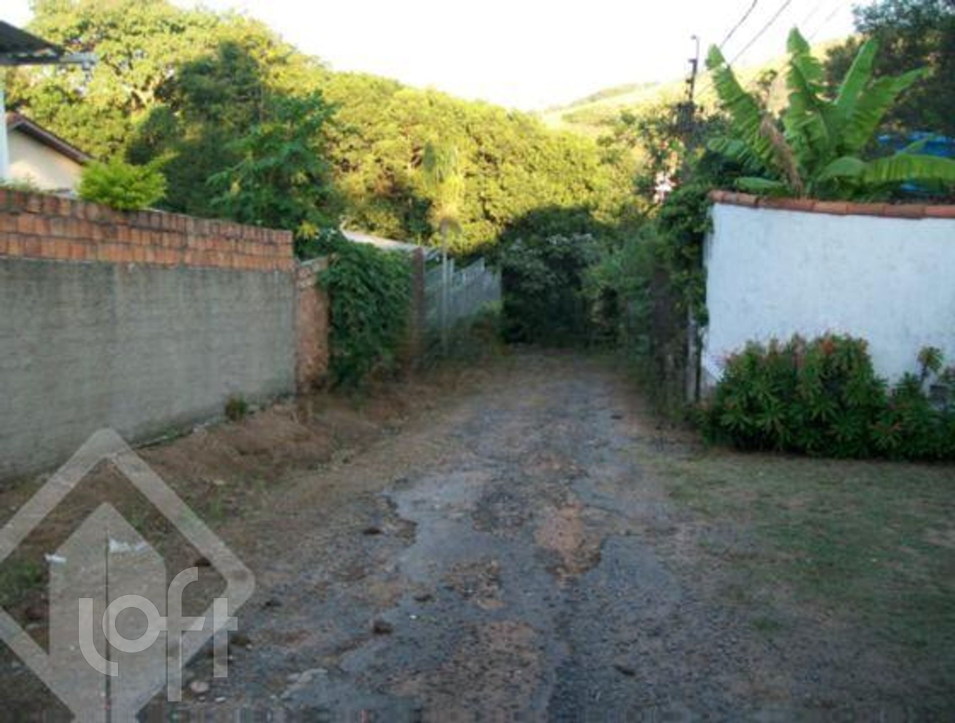 Imagem da propriedade 9